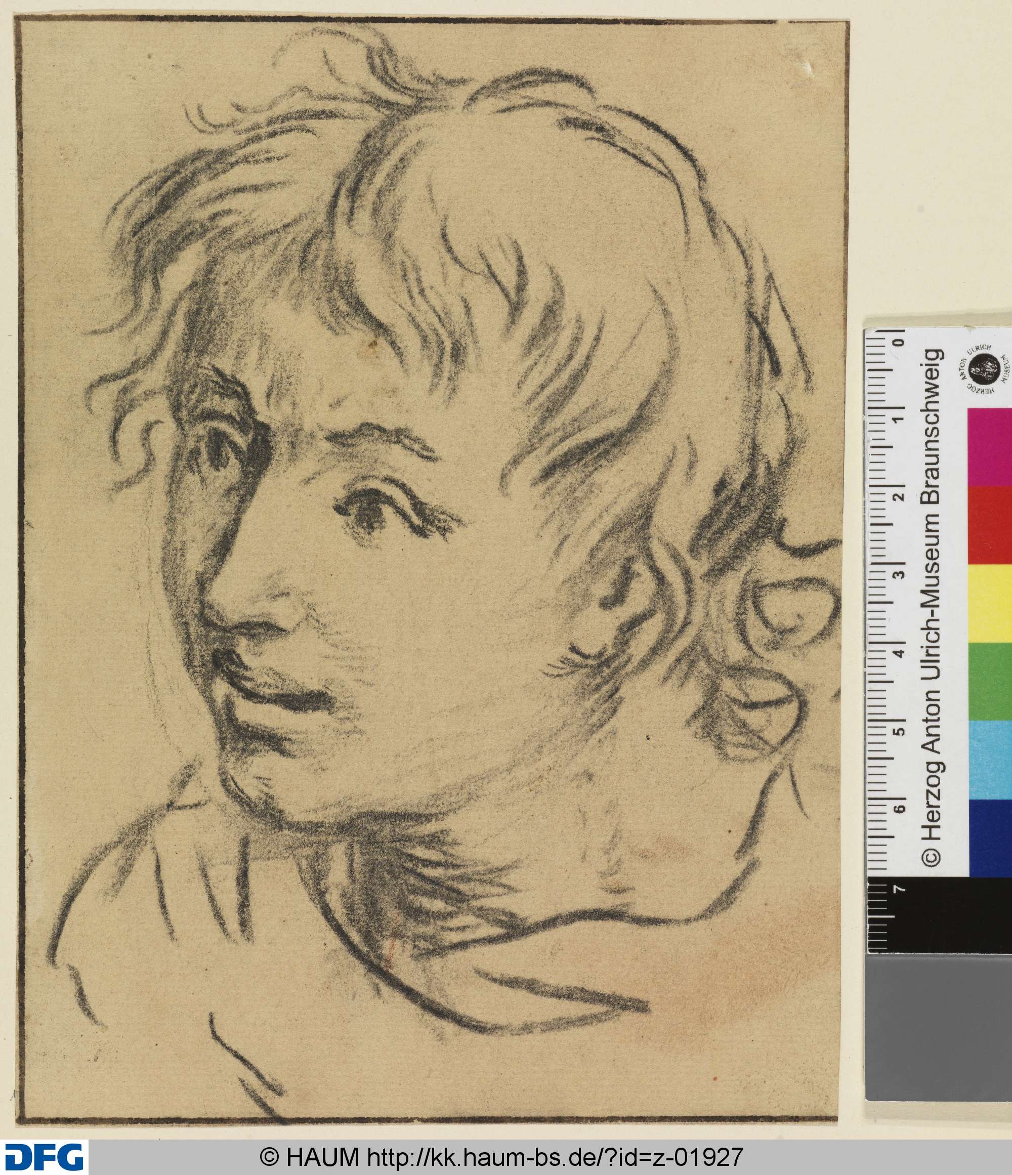 Kopf eines Jünglings, nach links, Dietrich Ernst André, 1716–1720