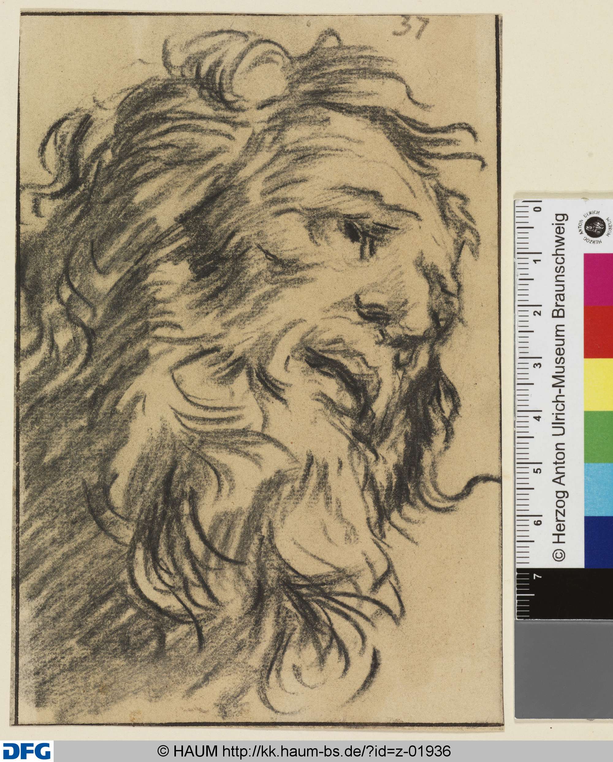 Bärtiger Männerkopf, nach rechts, Dietrich Ernst André, 1716–1720