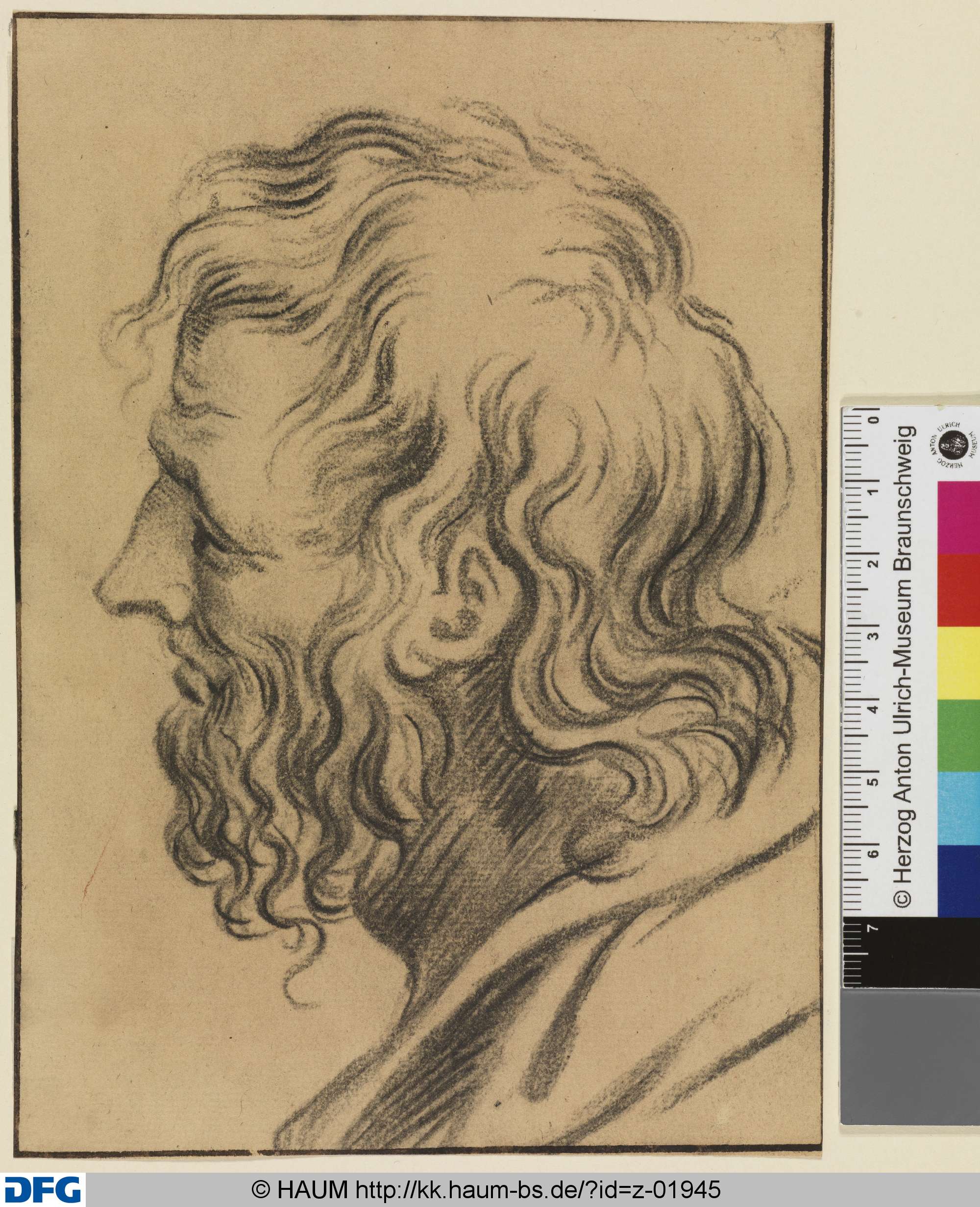 Bärtiger Männerkopf, nach links unten schauend, Dietrich Ernst André, 1716–1720