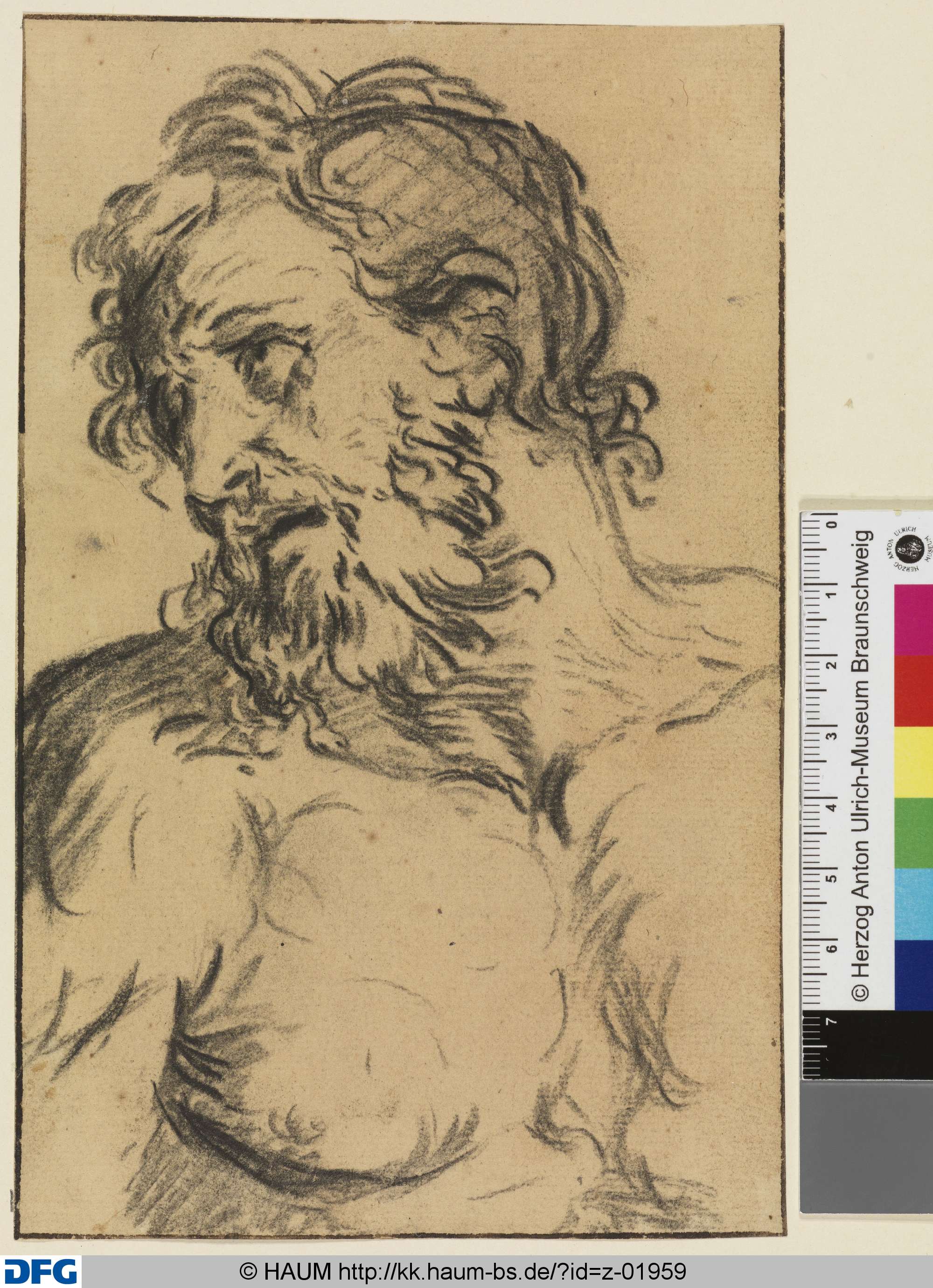 Männliches Brustbild, nach links blickend, Dietrich Ernst André, 1716–1720