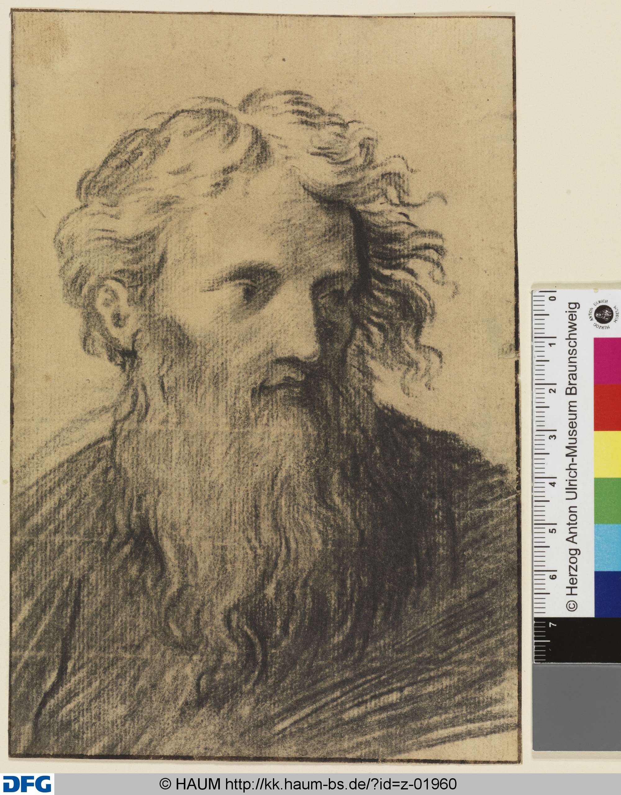Bärtiger Männerkopf, nach rechts, Dietrich Ernst André, 1716–1720