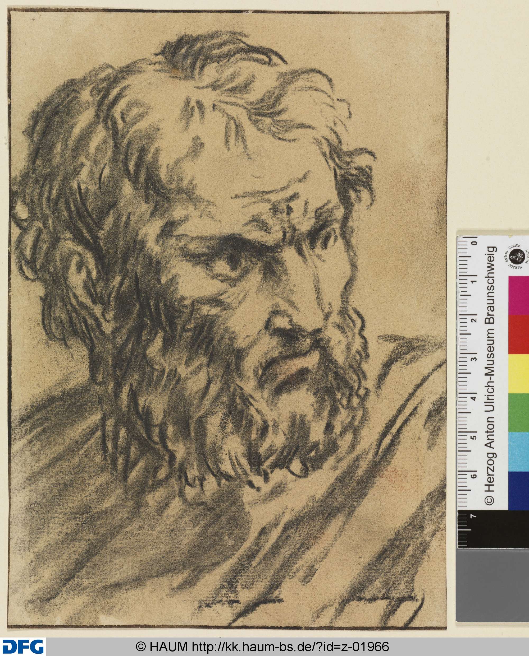 Bärtiger Männerkopf, nach rechts, Dietrich Ernst André, 1716–1720