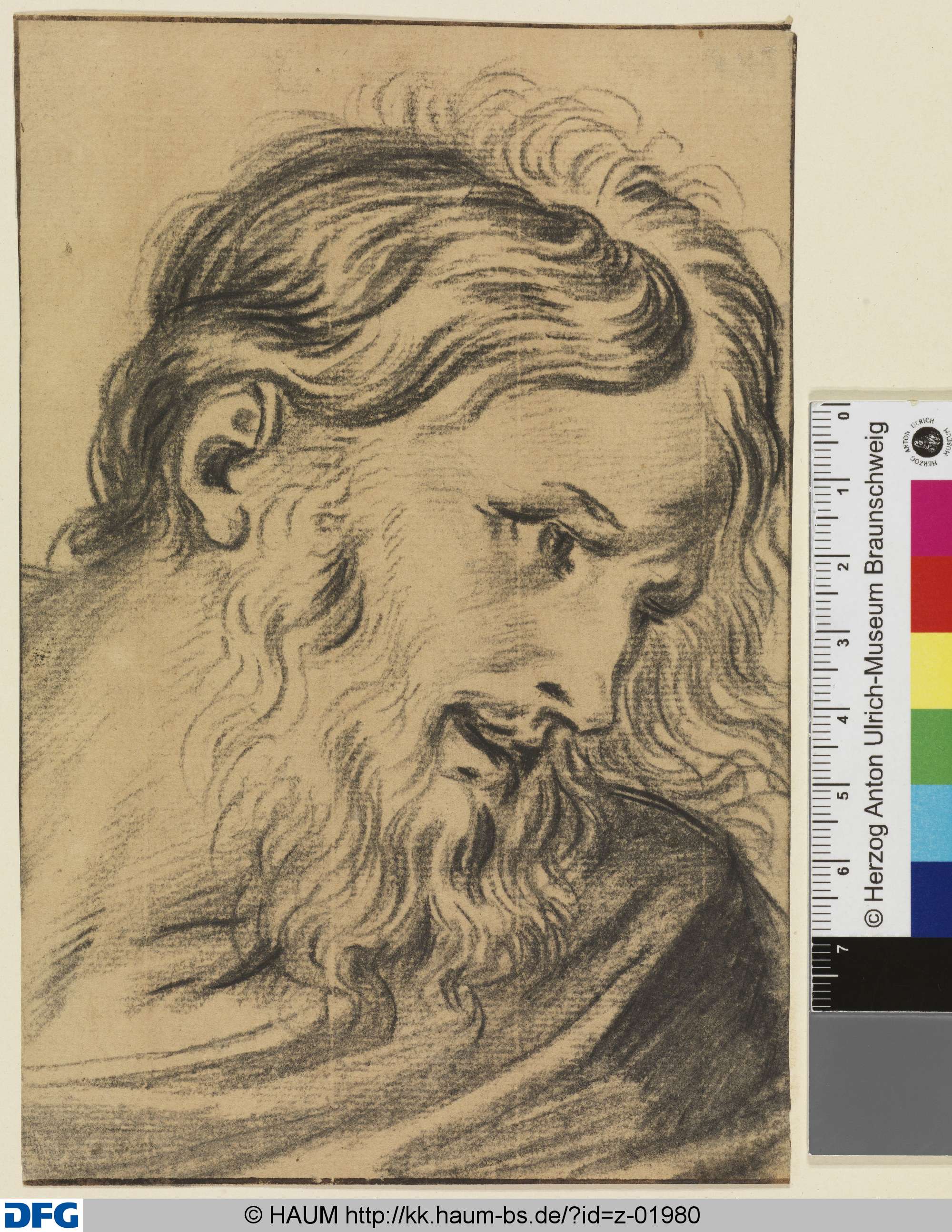 Bärtiger Männerkopf, nach rechts, Dietrich Ernst André, 1716–1720