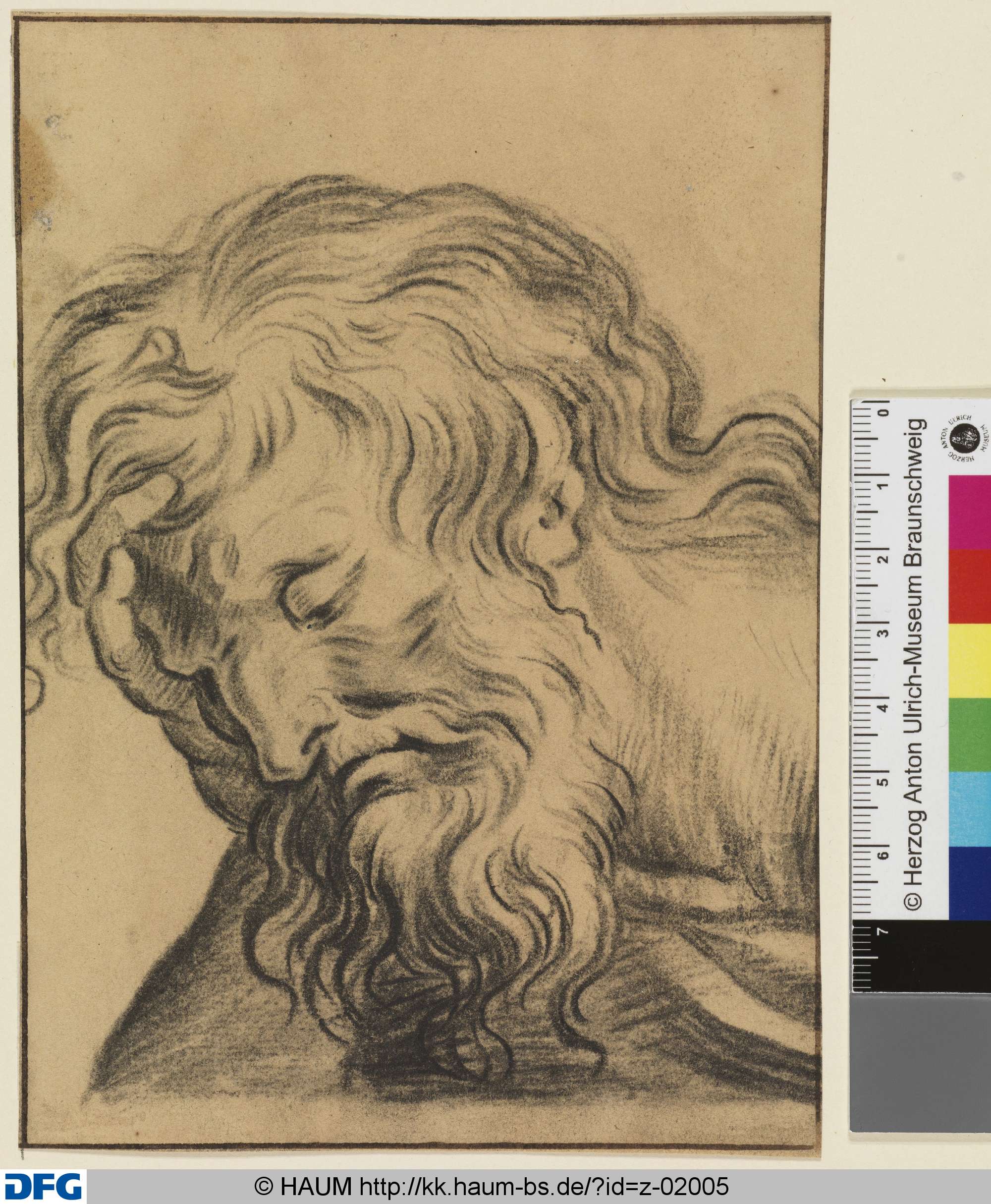 Kopf eines Bärtigen, die Stirn in die Hand gestützt, Dietrich Ernst André, 1716–1720