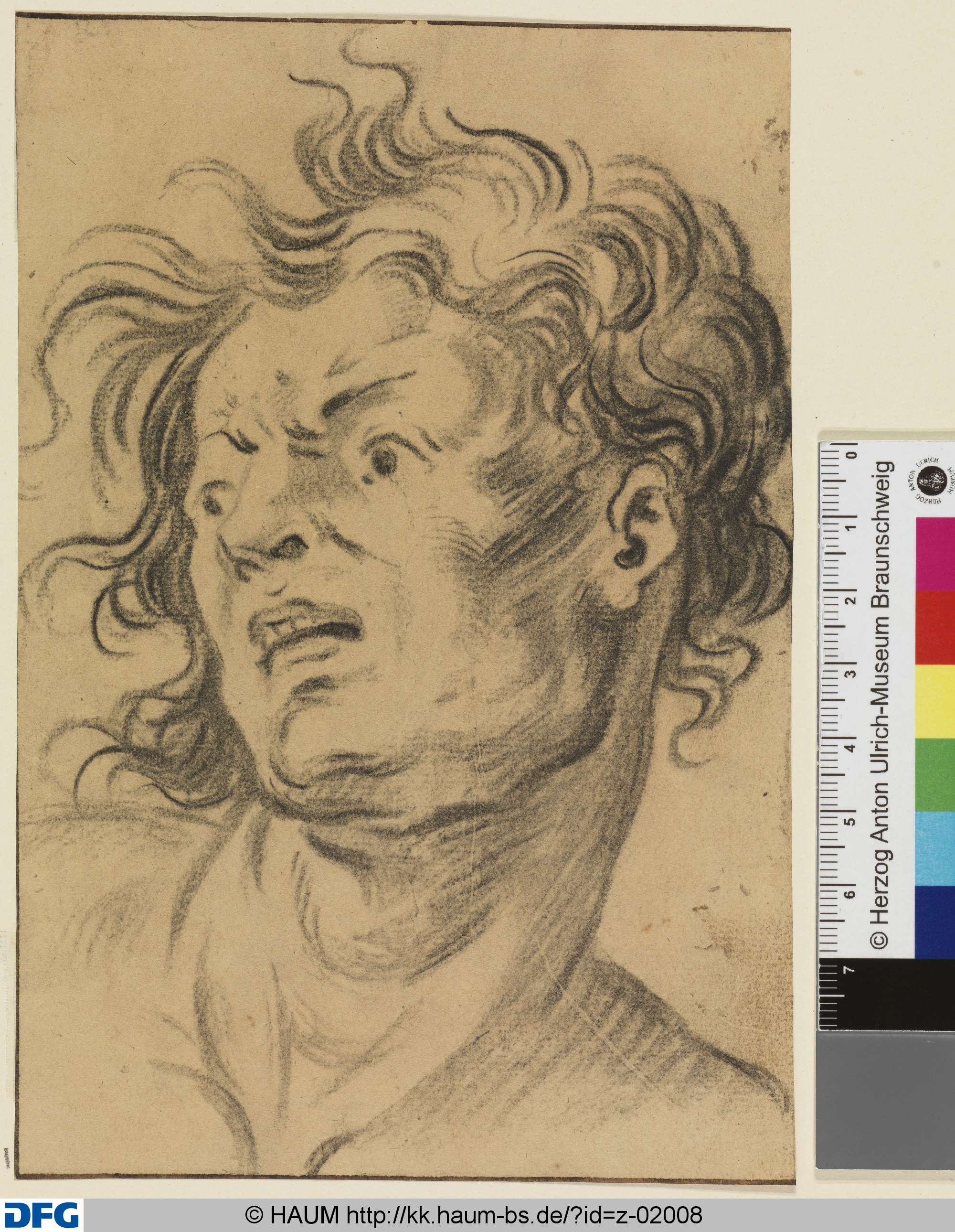Kopf eines jungen, erschreckt blickenden Mannes, nach links, Dietrich Ernst André, 1716–1720