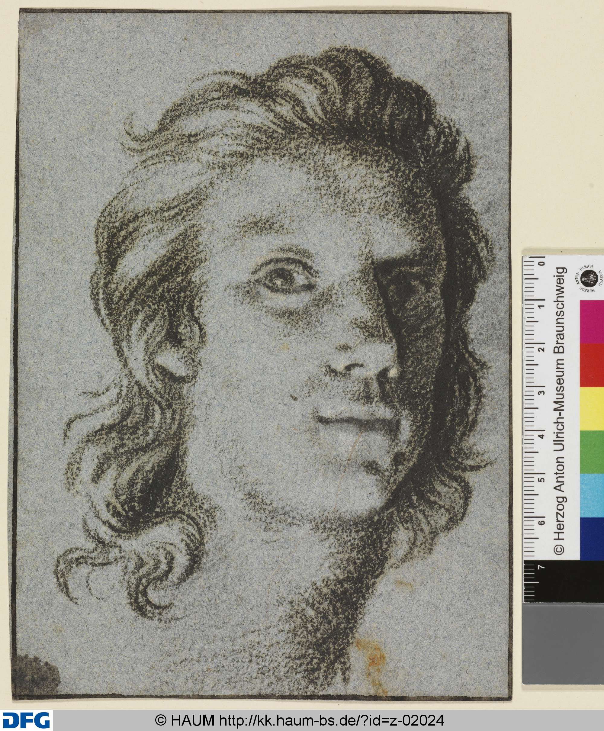 Kopf eines jungen Mannes nach rechts, Dietrich Ernst André, 1716–1720