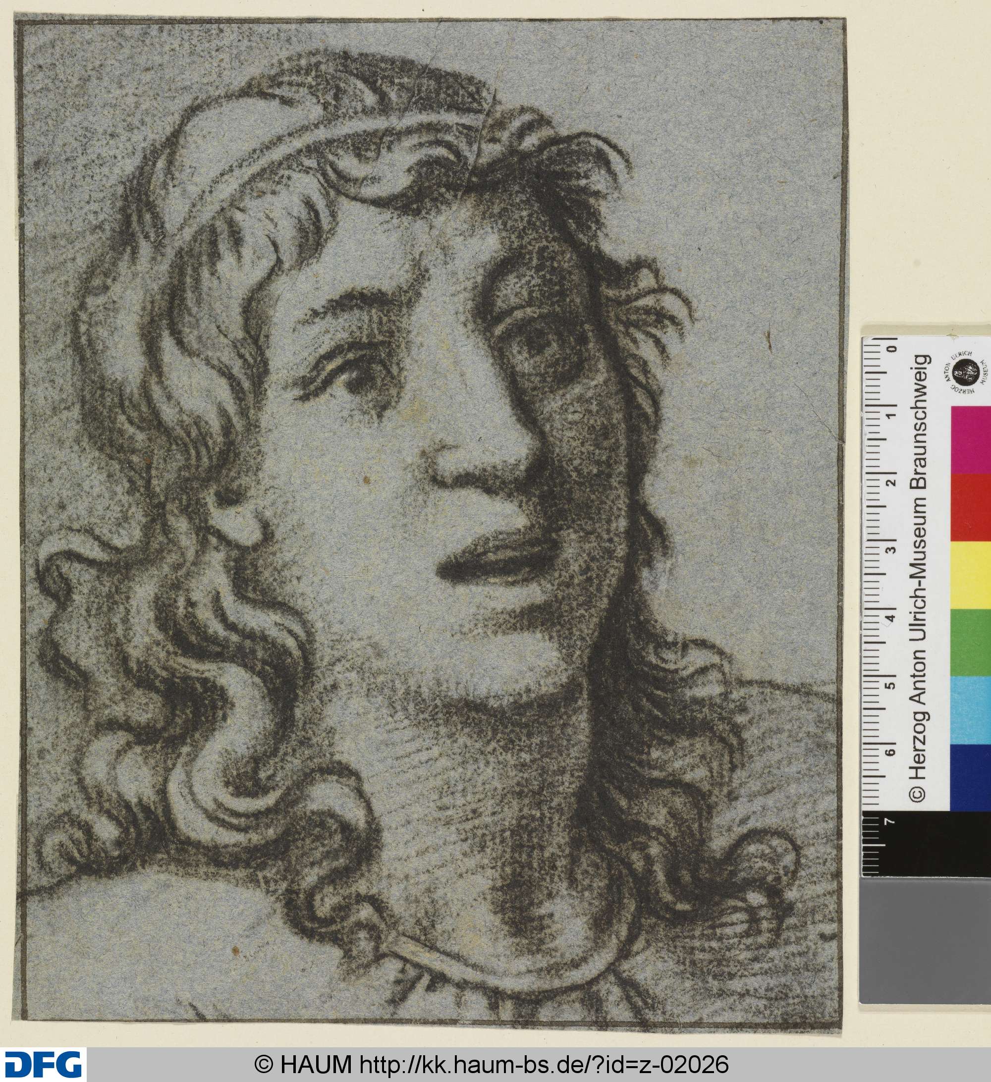 Kopf eines Jünglings, nach rechts, Dietrich Ernst André, 1716–1720