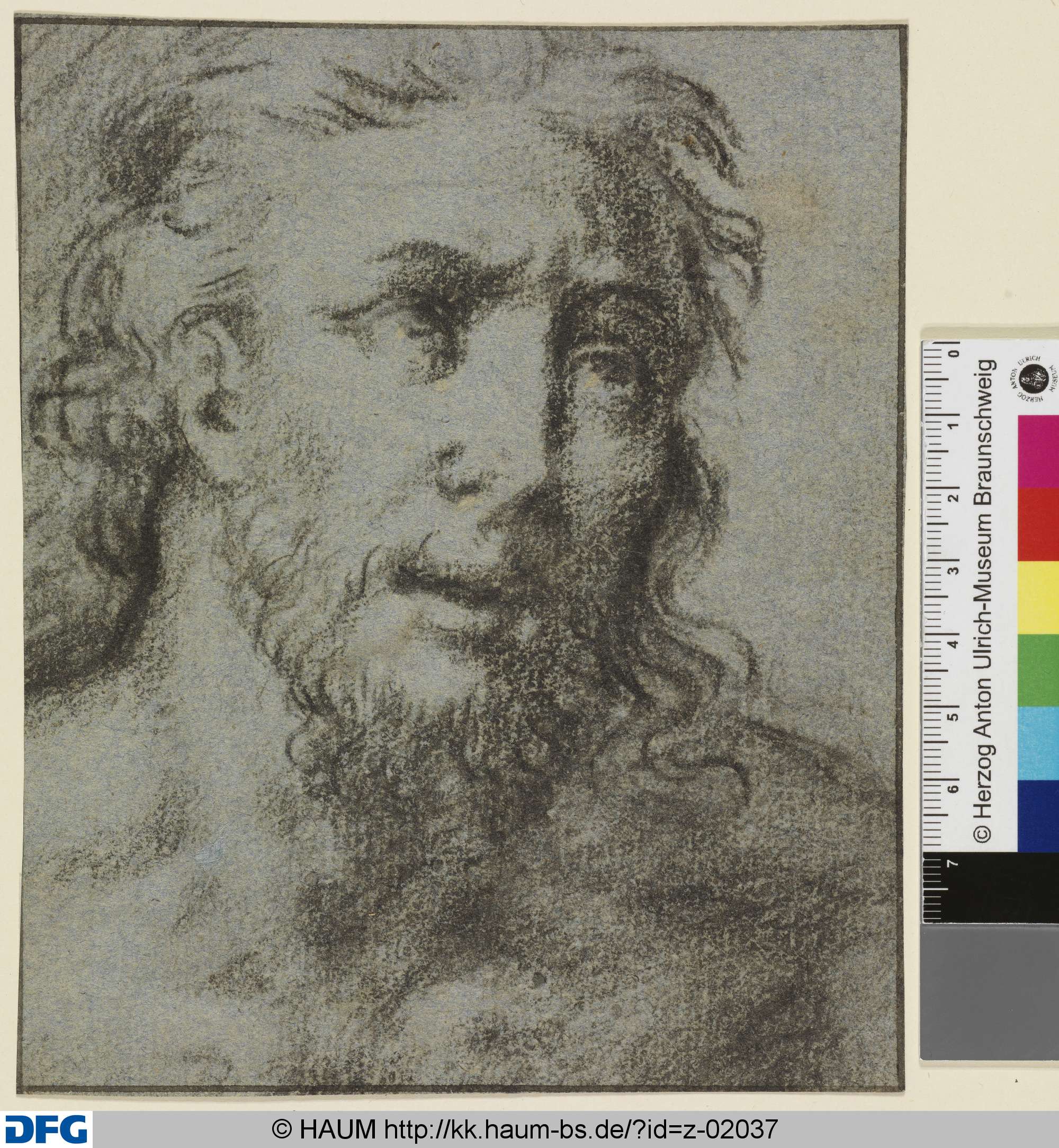 Bärtiger Männerkopf, nach rechts, Dietrich Ernst André, 1716–1720