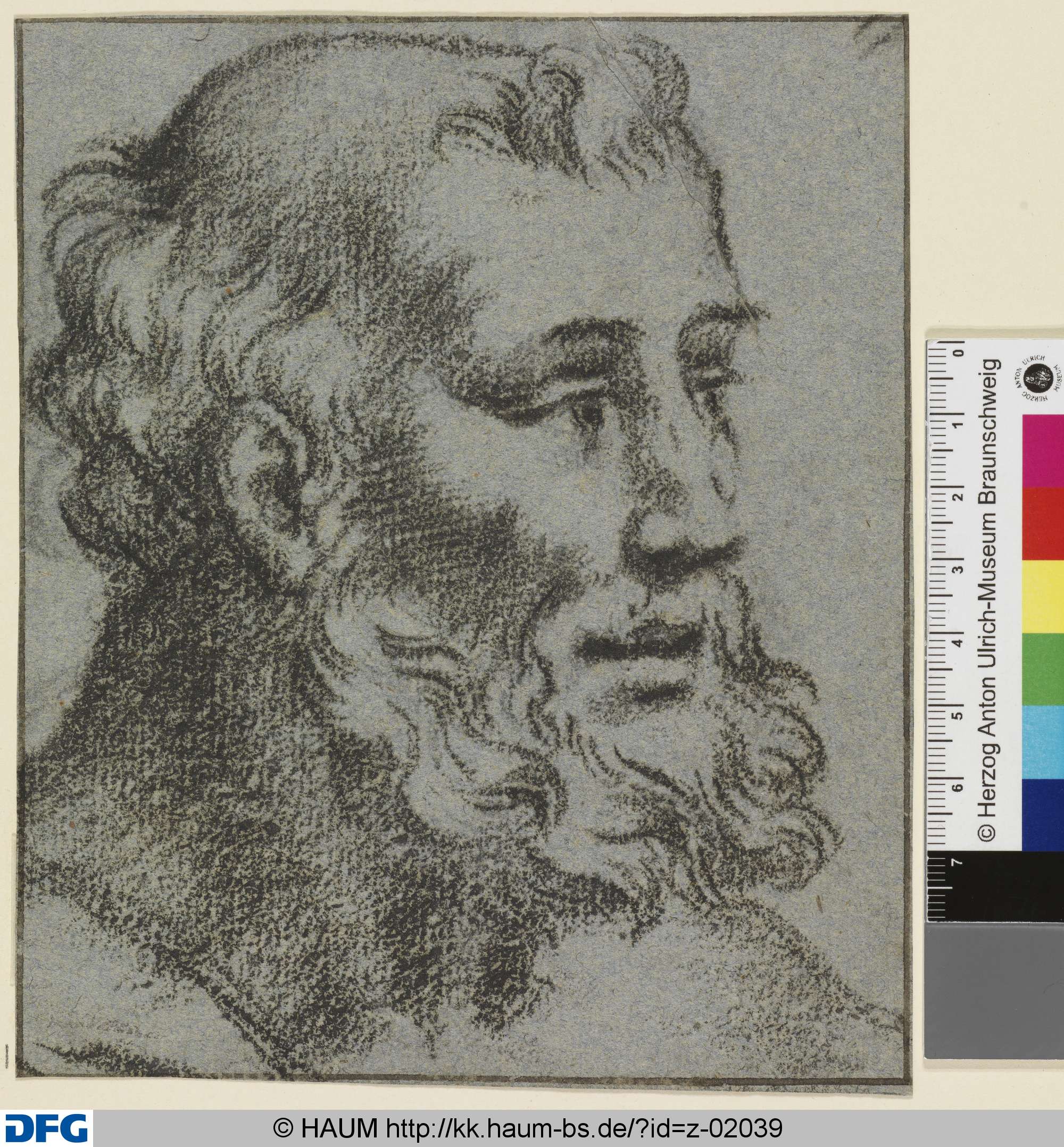 Bärtiger Männerkopf, nach rechts, Dietrich Ernst André, 1716–1720
