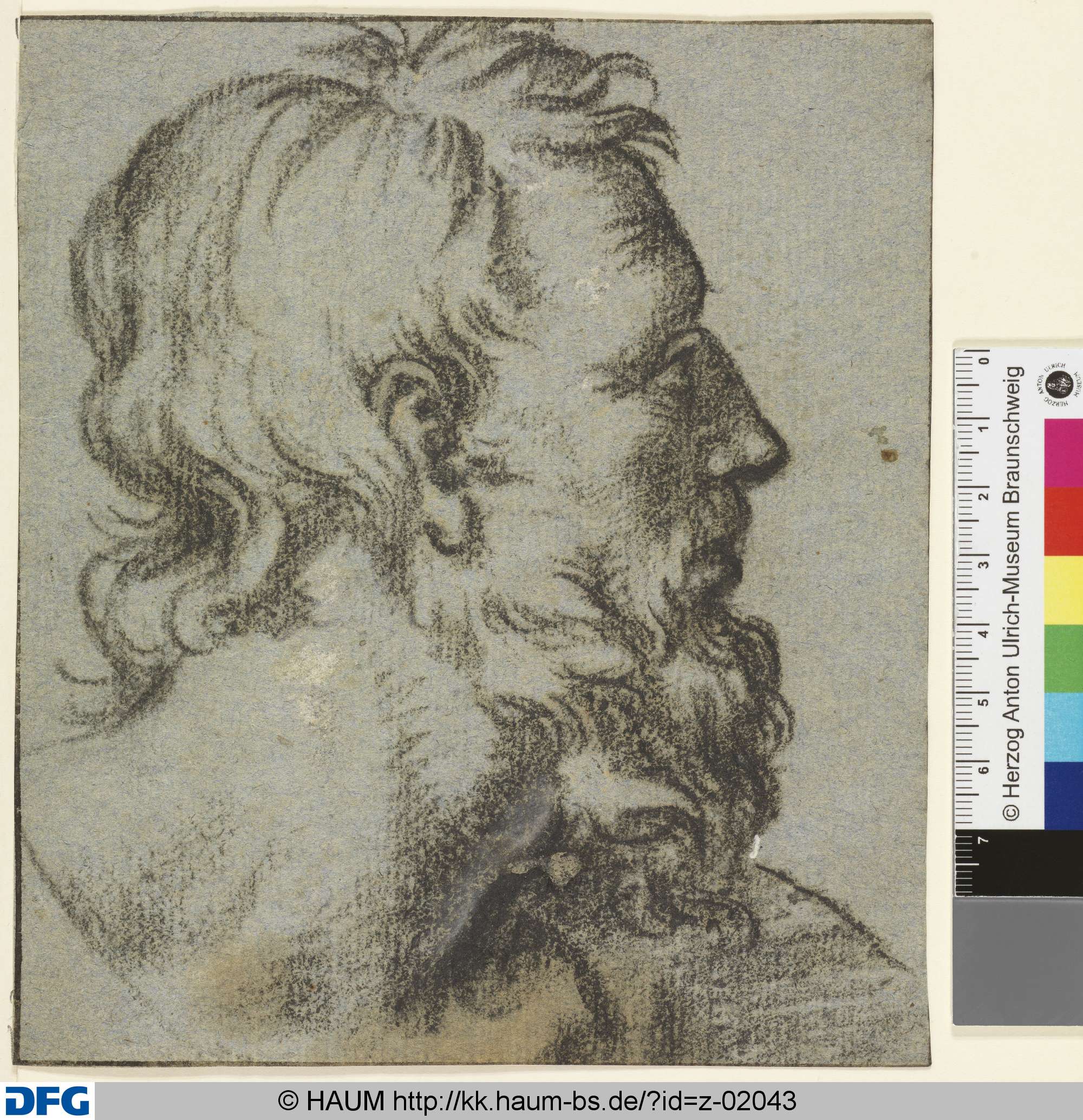 Männliches Profil nach rechts, Dietrich Ernst André, 1716–1720