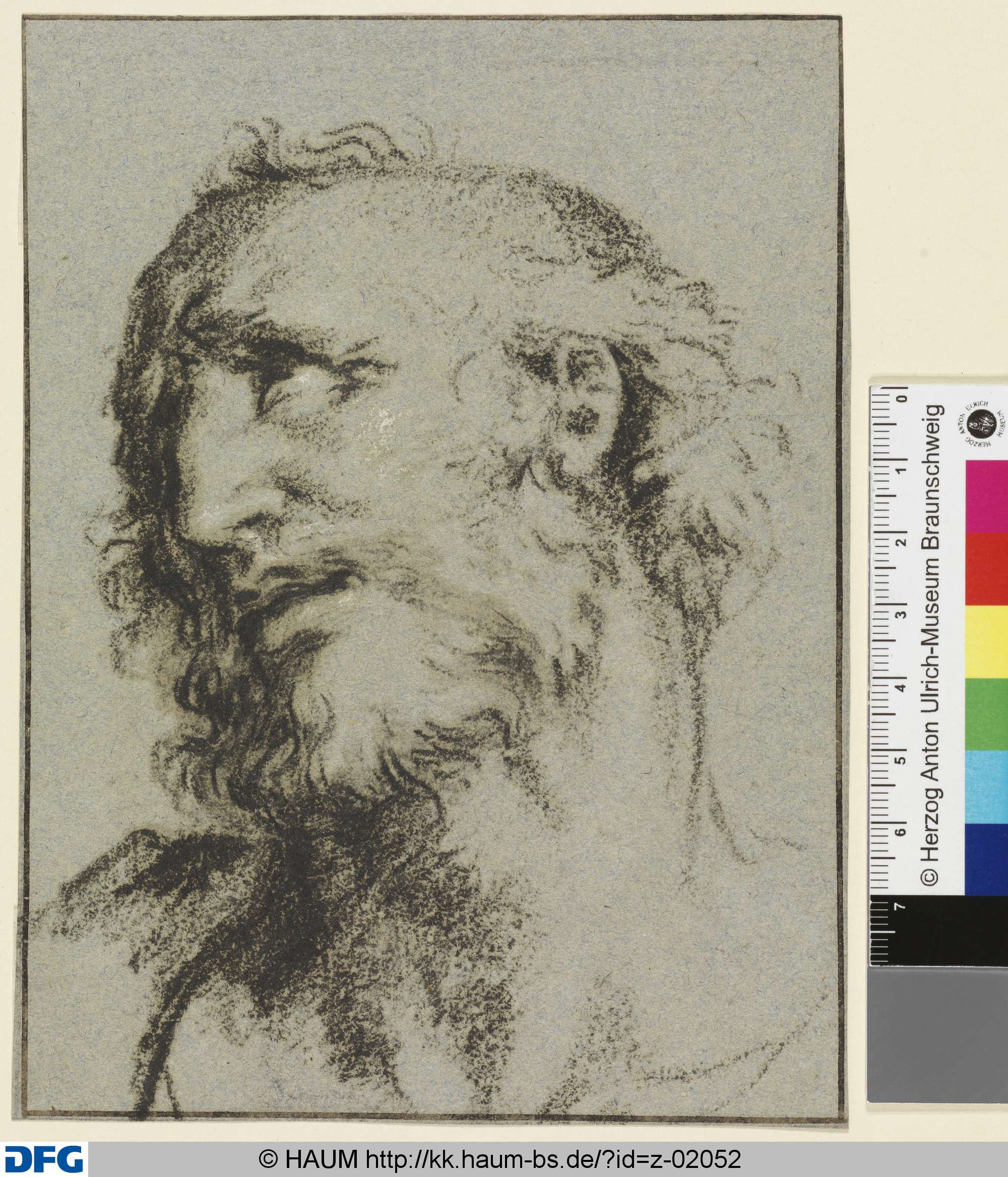 Bärtiger Männerkopf nach links oben blickend, Dietrich Ernst André, 1716–1720