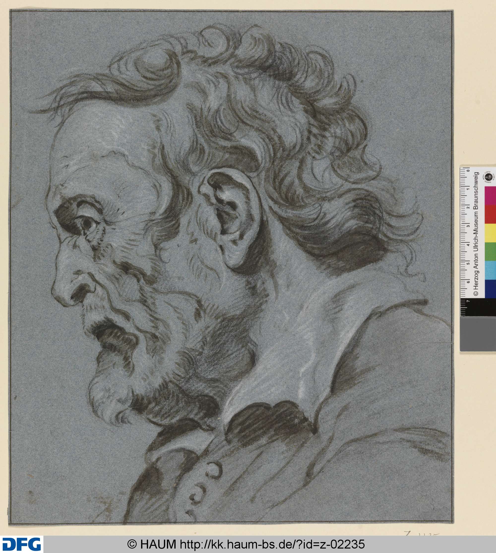 Kopf eines bärtigen Mannes im Profil nach links, Peter Paul Rubens, 1597