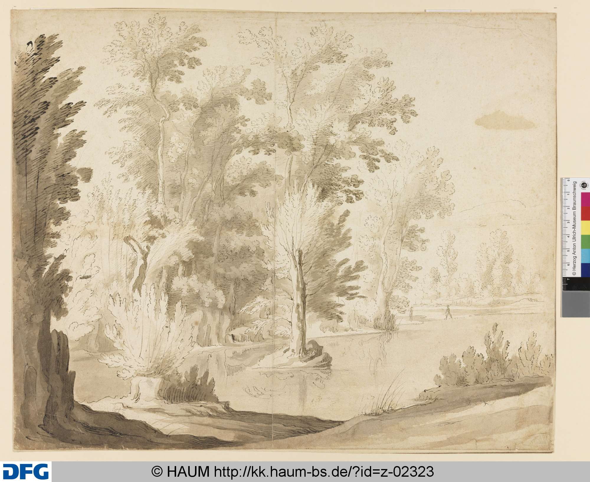 Landschaft mit hohen Bäumen am Fluss