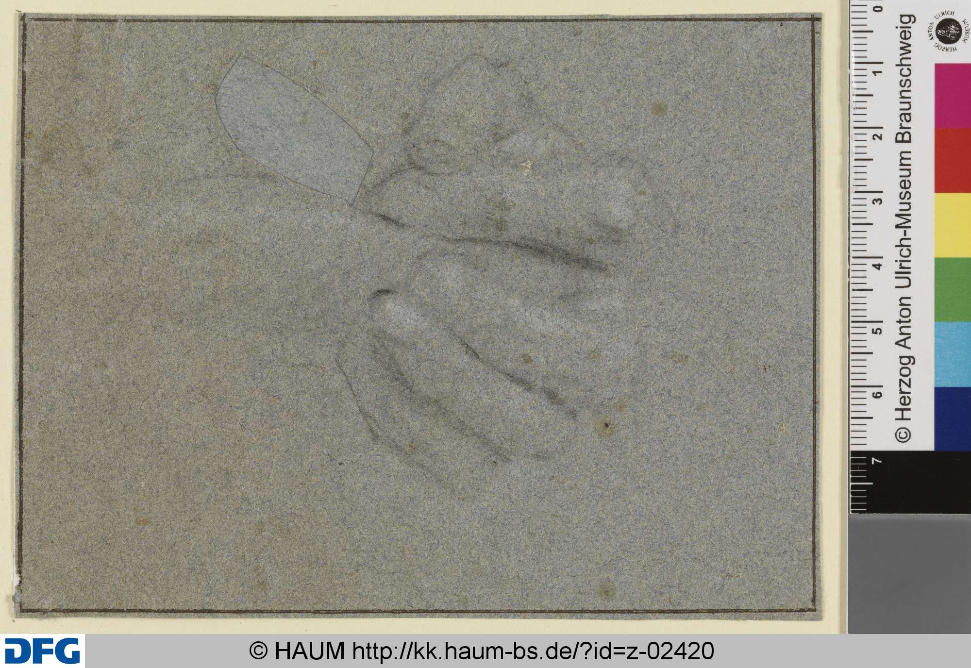 Skizze einer greifenden linken Hand mit gebogenen Fingern, Anthony van Dyck, 1619–1641