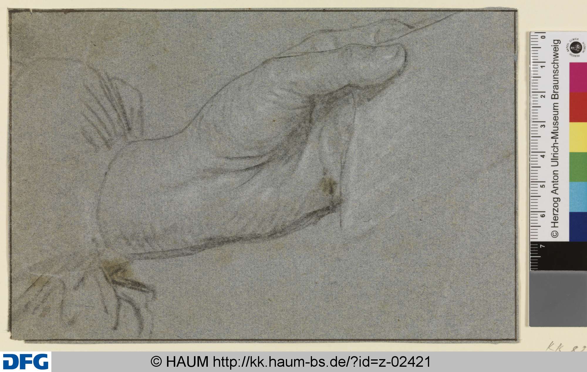 Skizze einer Hand, ein Blatt haltend, Anthony van Dyck, 1619–1641