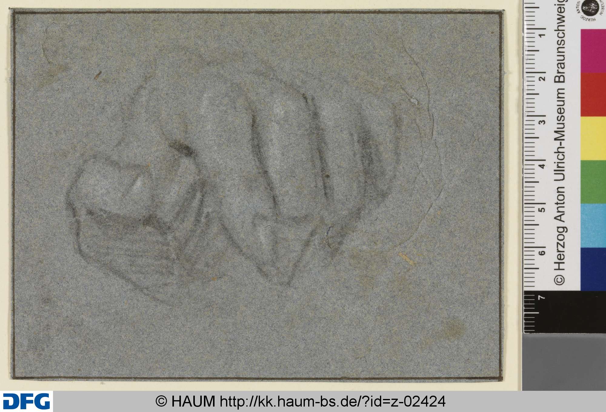 Skizze einer linken Hand, Anthony van Dyck, 1619–1641