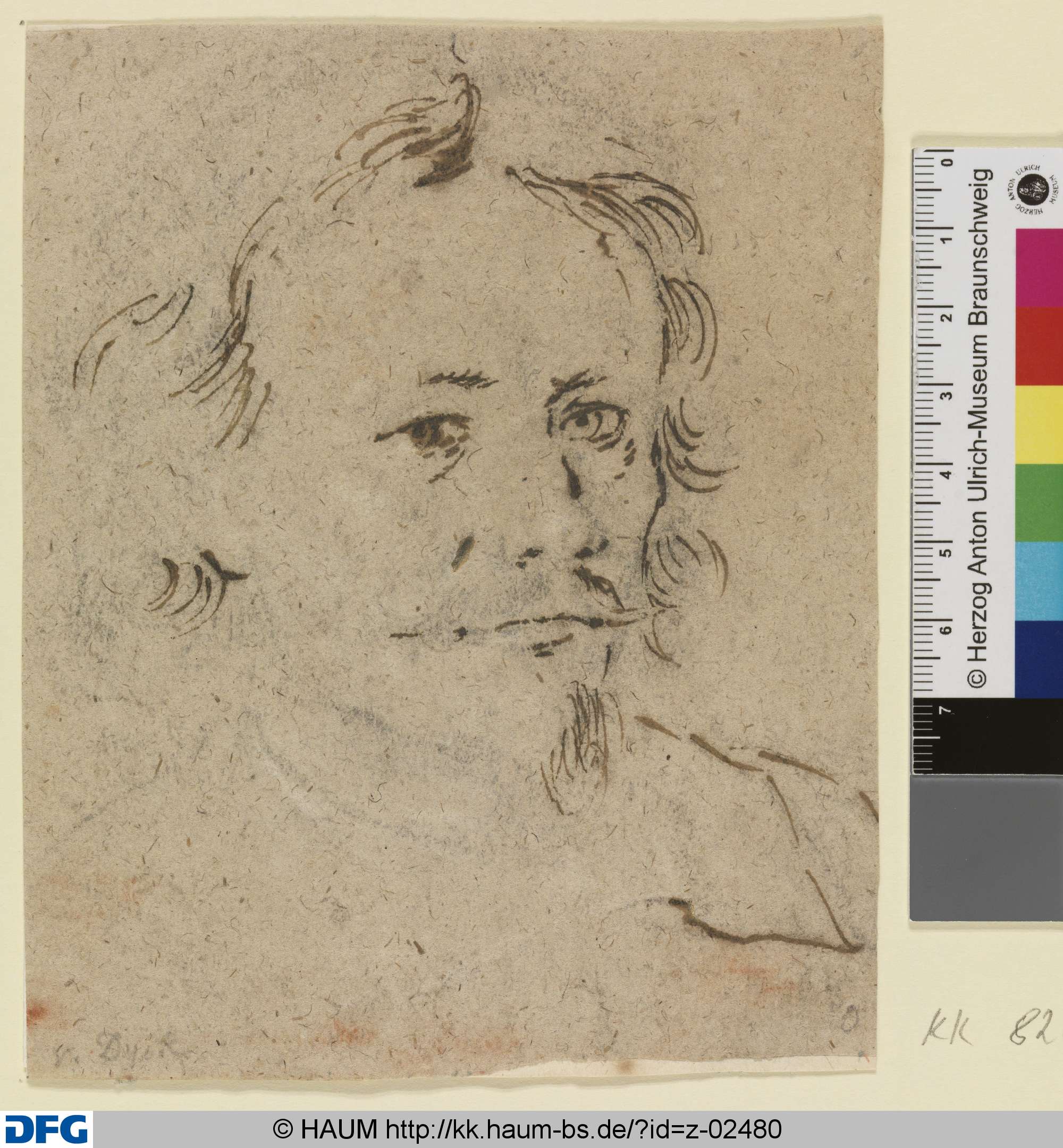 Bildnisstudie eines Mannes, Anthony van Dyck, 1619–1641