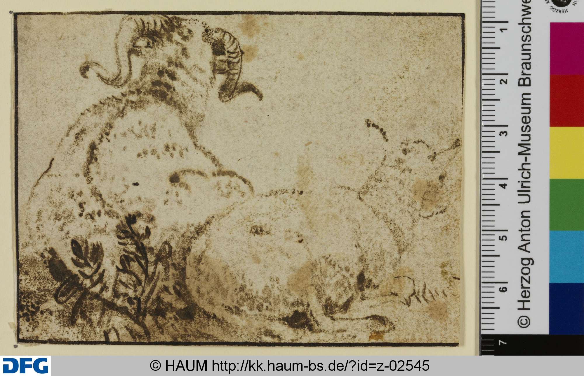 Ziegenbock und Ziege, liegend, von hinten, Jacob van der Does, 1653–1673