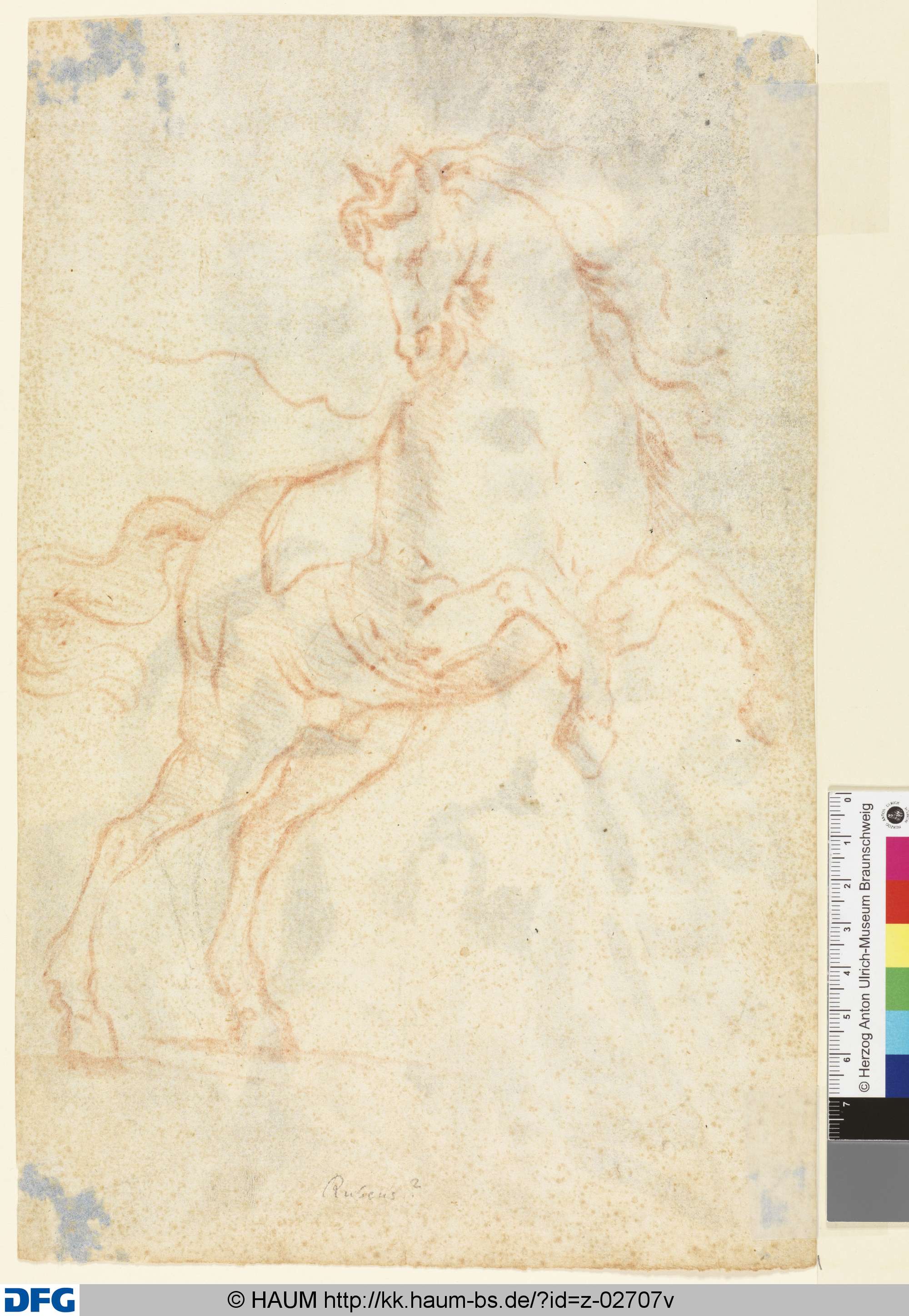Springendes Pferd nach rechts, Peter Paul Rubens, 17th century