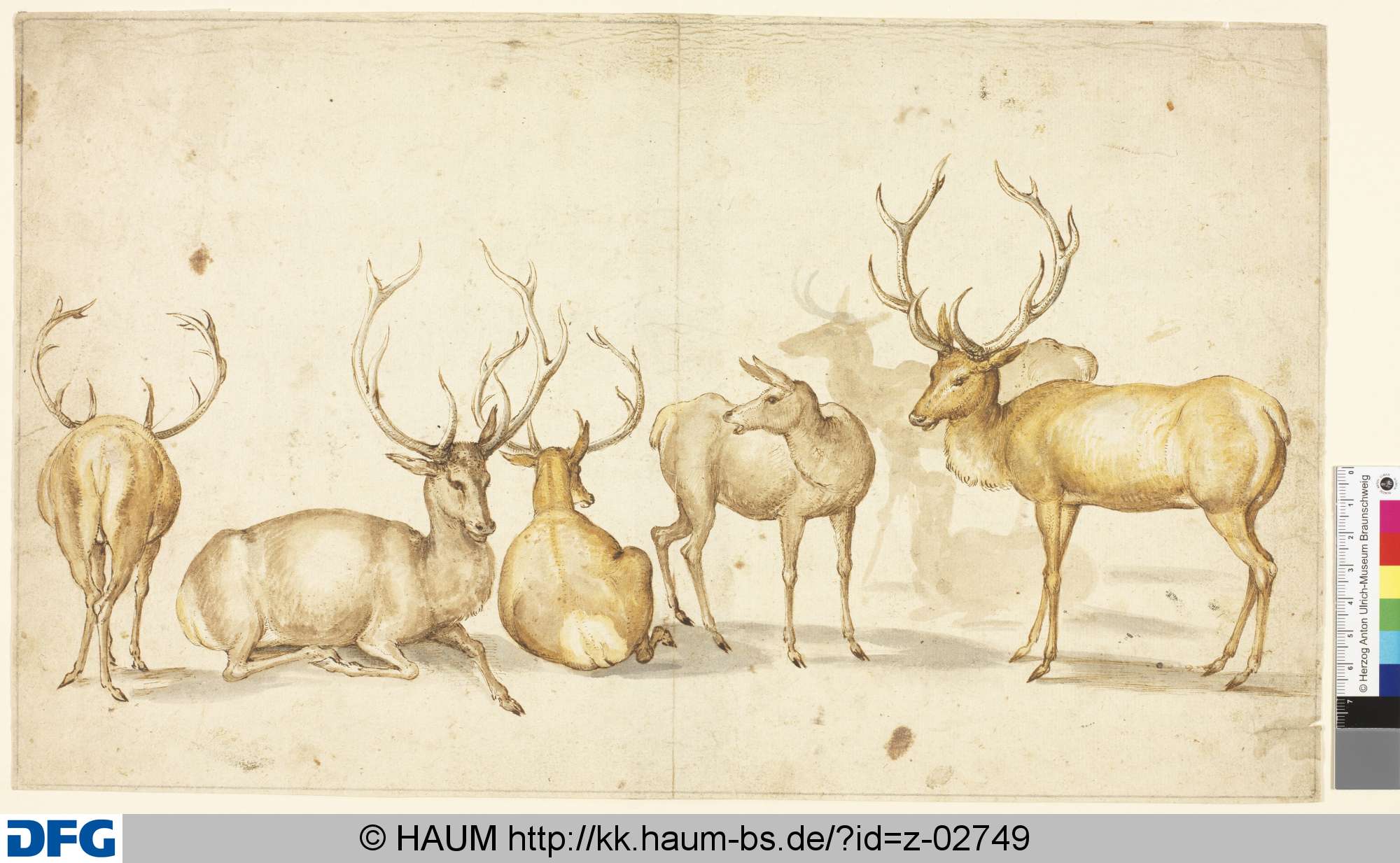 Sechs Hirsche, 16th century