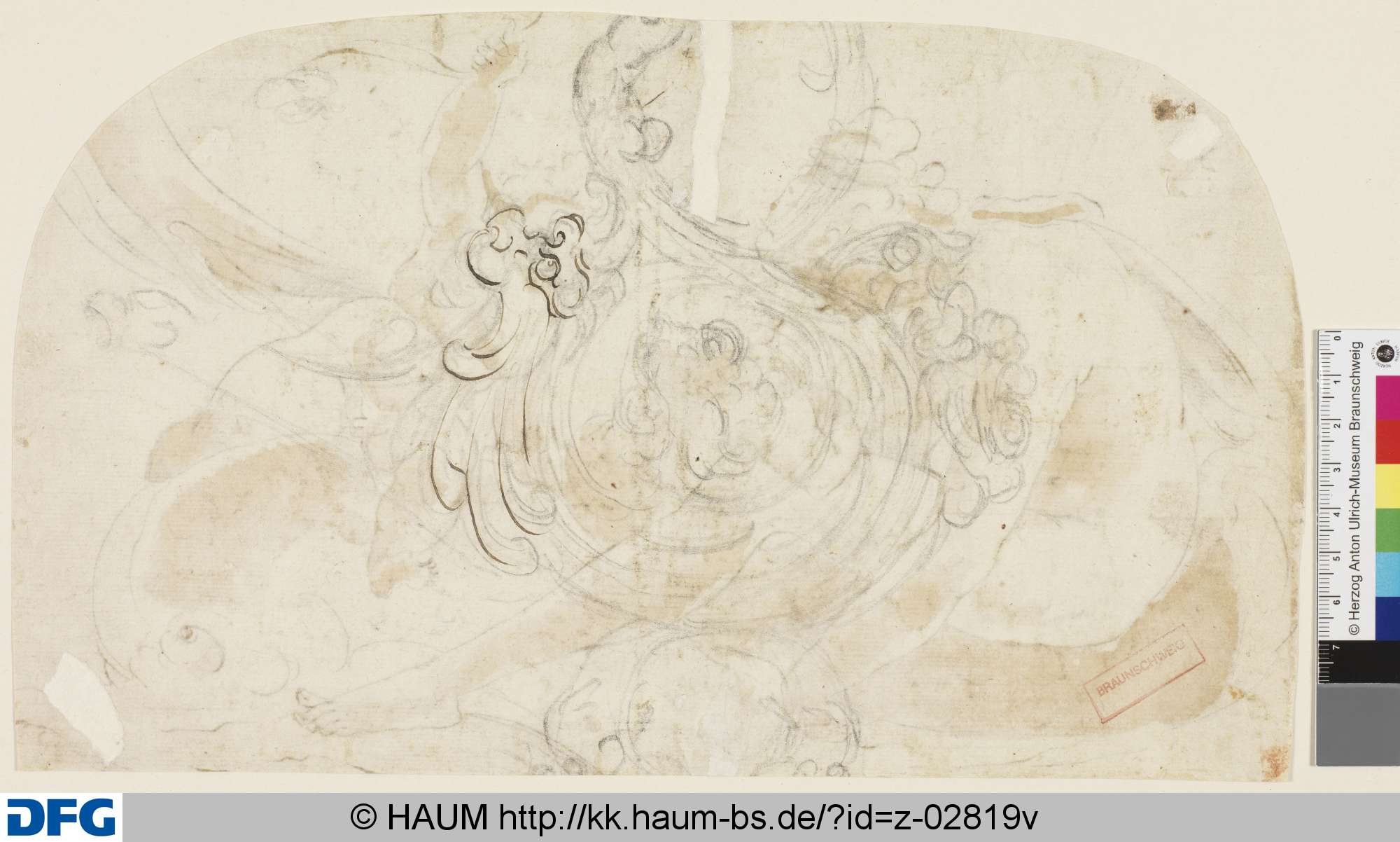 Rankenornamente, 16th century