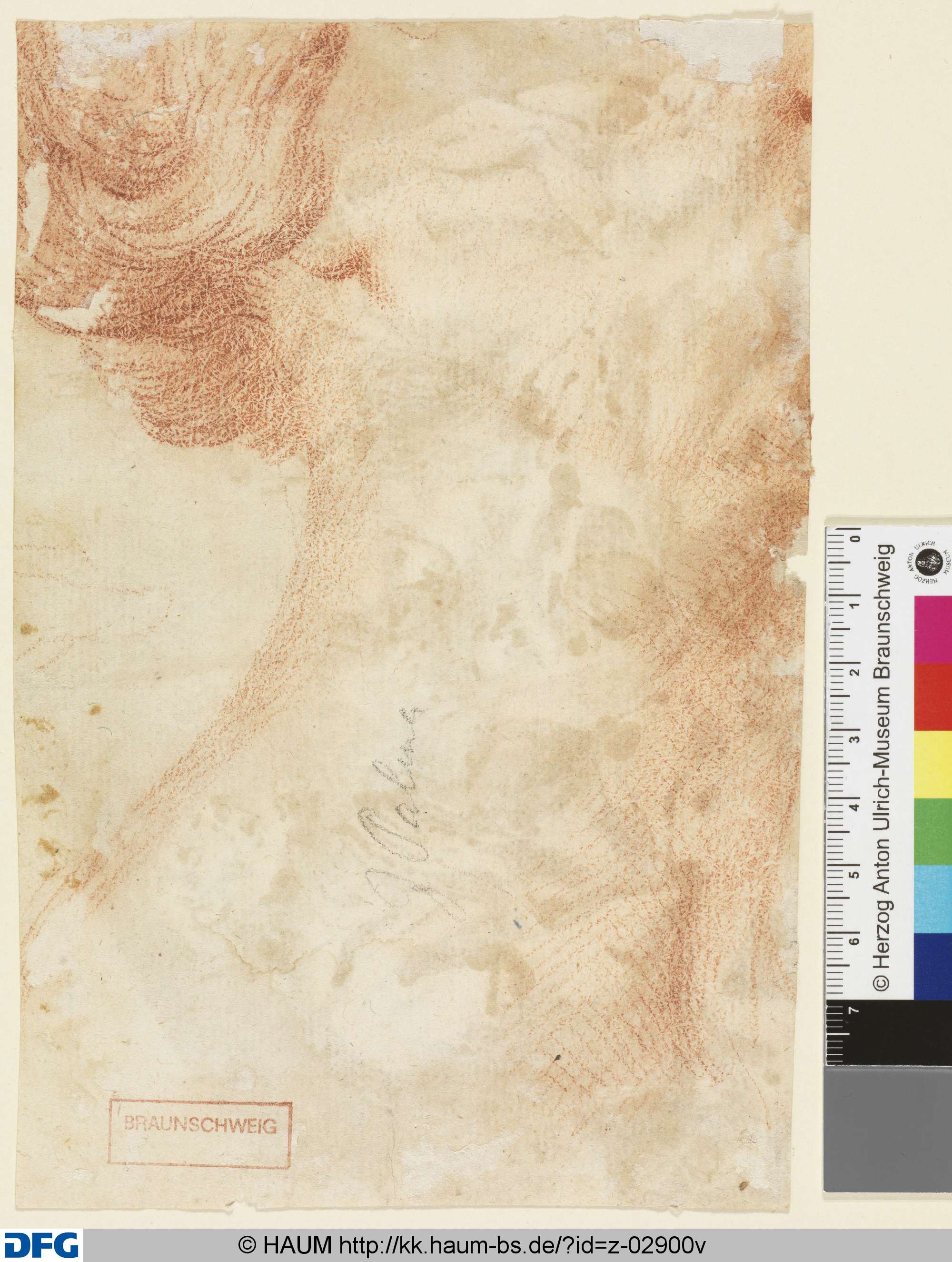 Fragment einer Kopfstudie, 16th century
