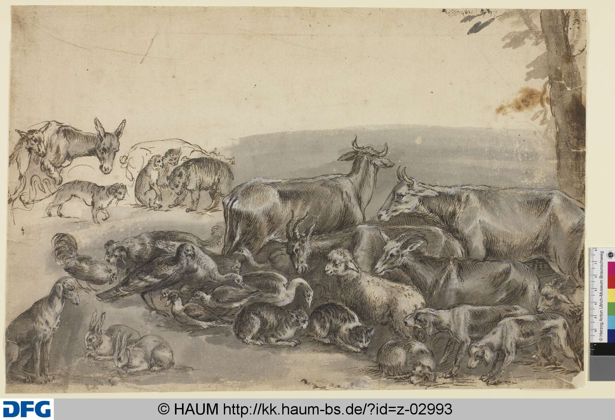 Eine Schar von Schafen, Ziegen, Kühen, Katzen, Enten und Gänsen, Hasen, Hunden und Eseln, 1551–1650