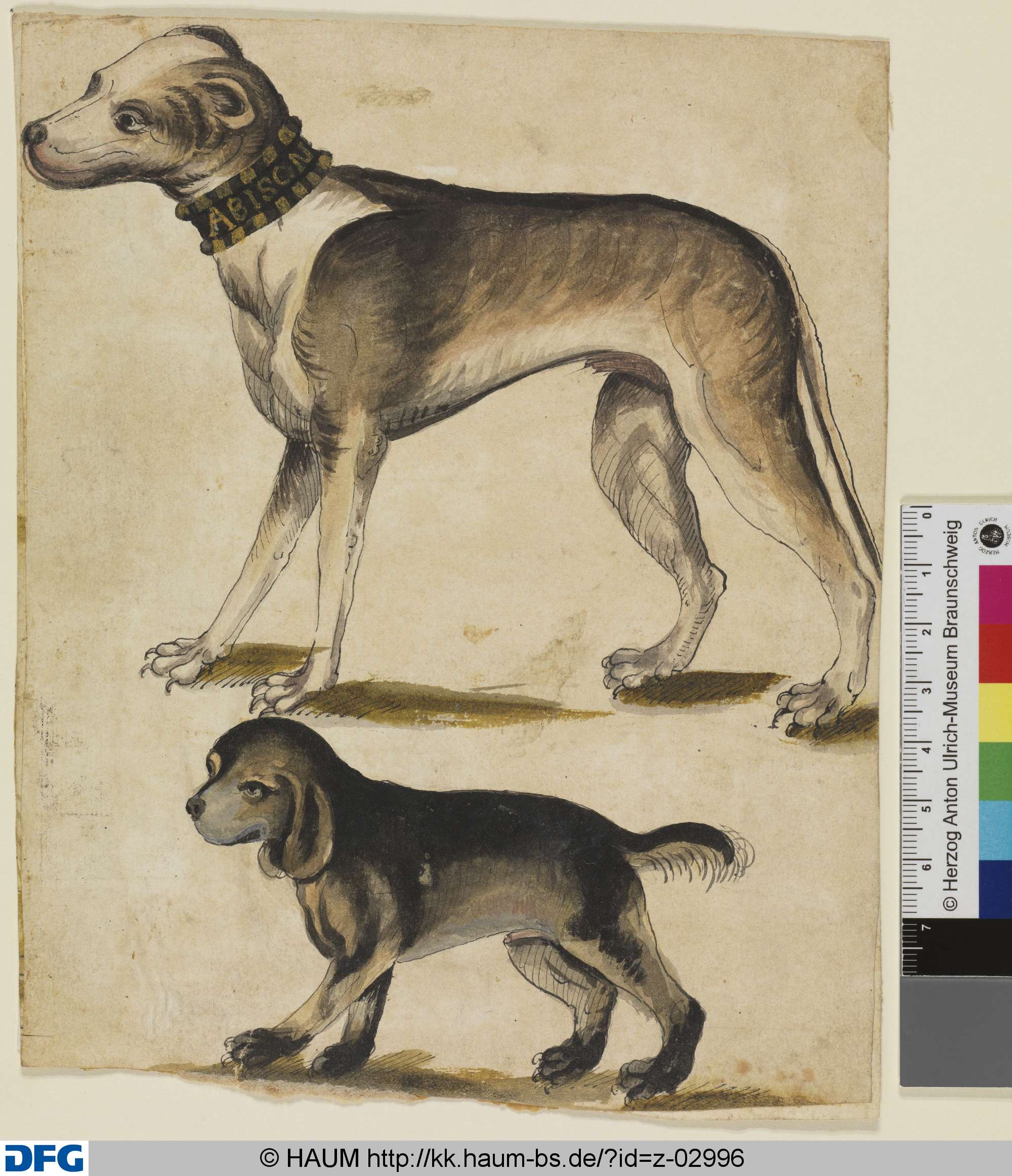 Zwei Hunde, 17th century
