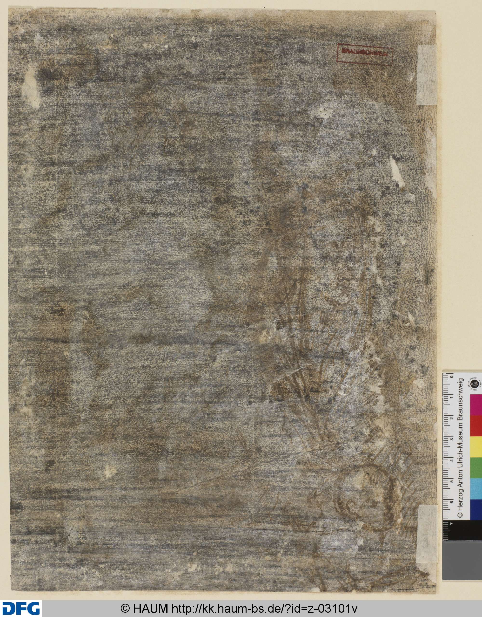 Studie für Kopf des Johannesknaben, 1551–1600