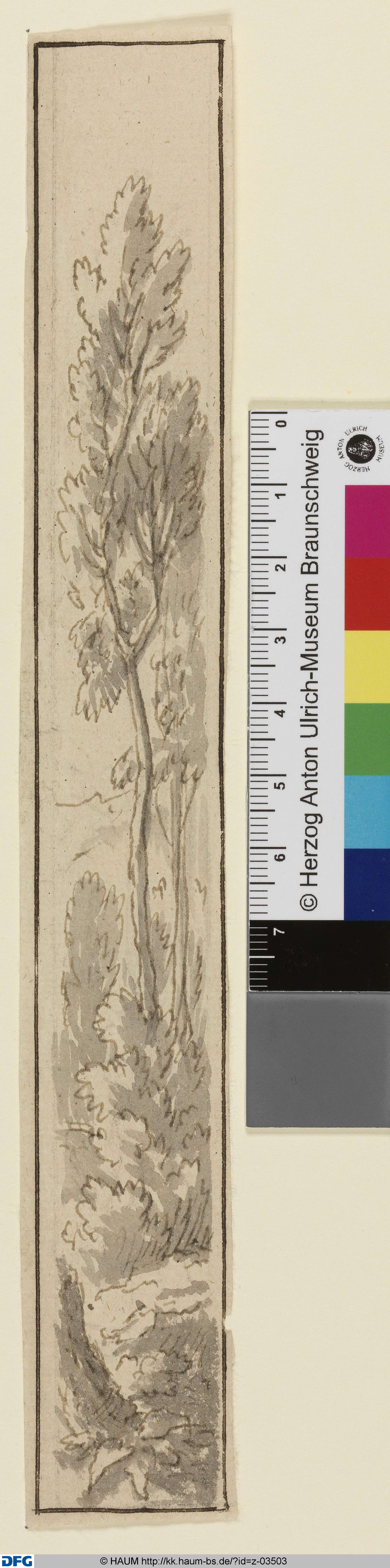 Lichter Wald. Eine Rechtskulisse, Johann Oswald Harms, 1678–1708
