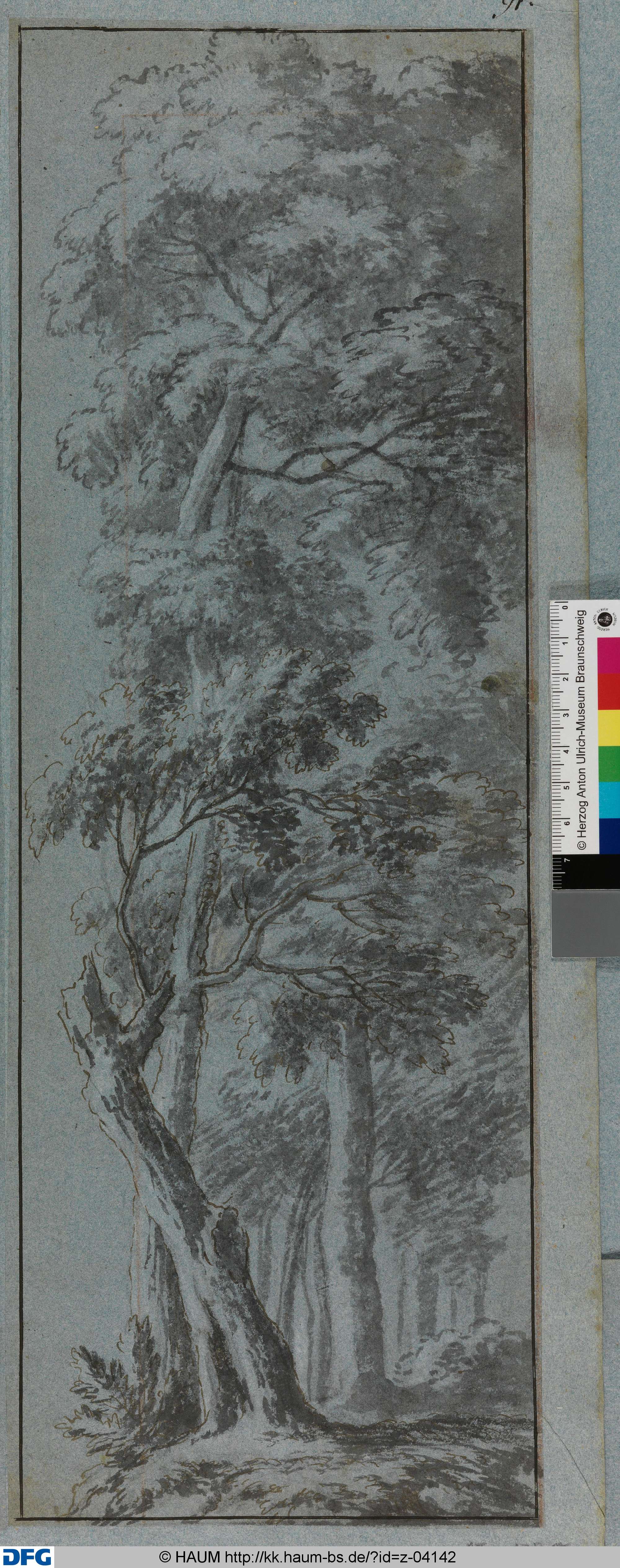 Dichter Wald. Eine Rechtskulisse, Johann Oswald Harms, 1686–1708