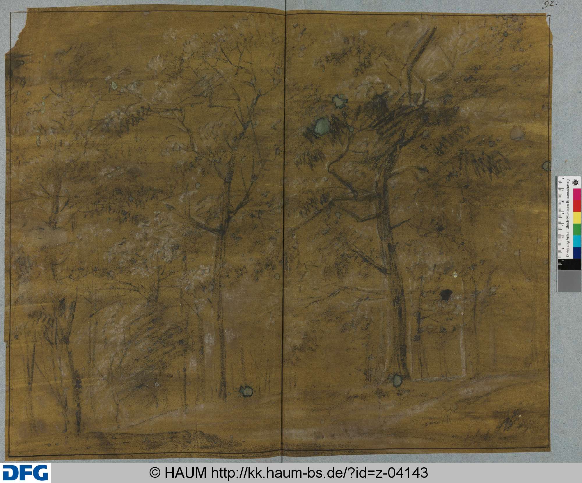 Skizze eines Waldes, Johann Oswald Harms, 1665–1708
