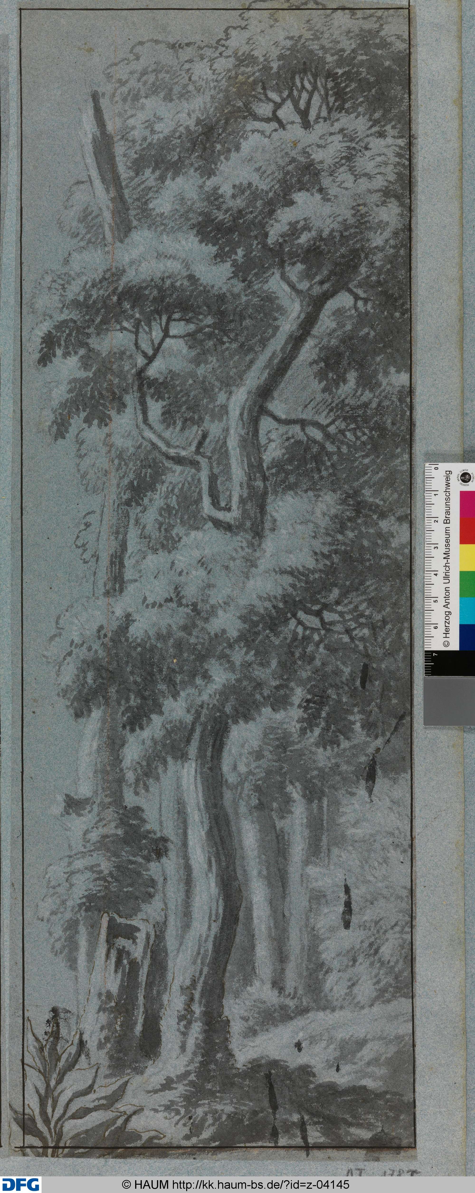 Dichter Wald. Eine Rechtskulisse, Johann Oswald Harms, 1686–1708