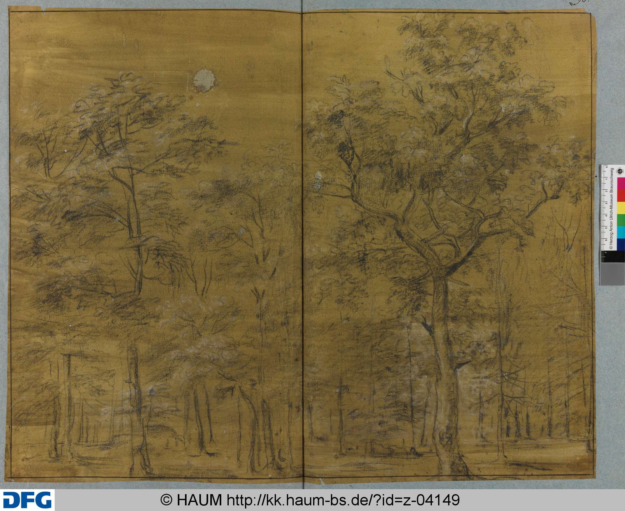 Skizze eines Waldes, Johann Oswald Harms, 1665–1708