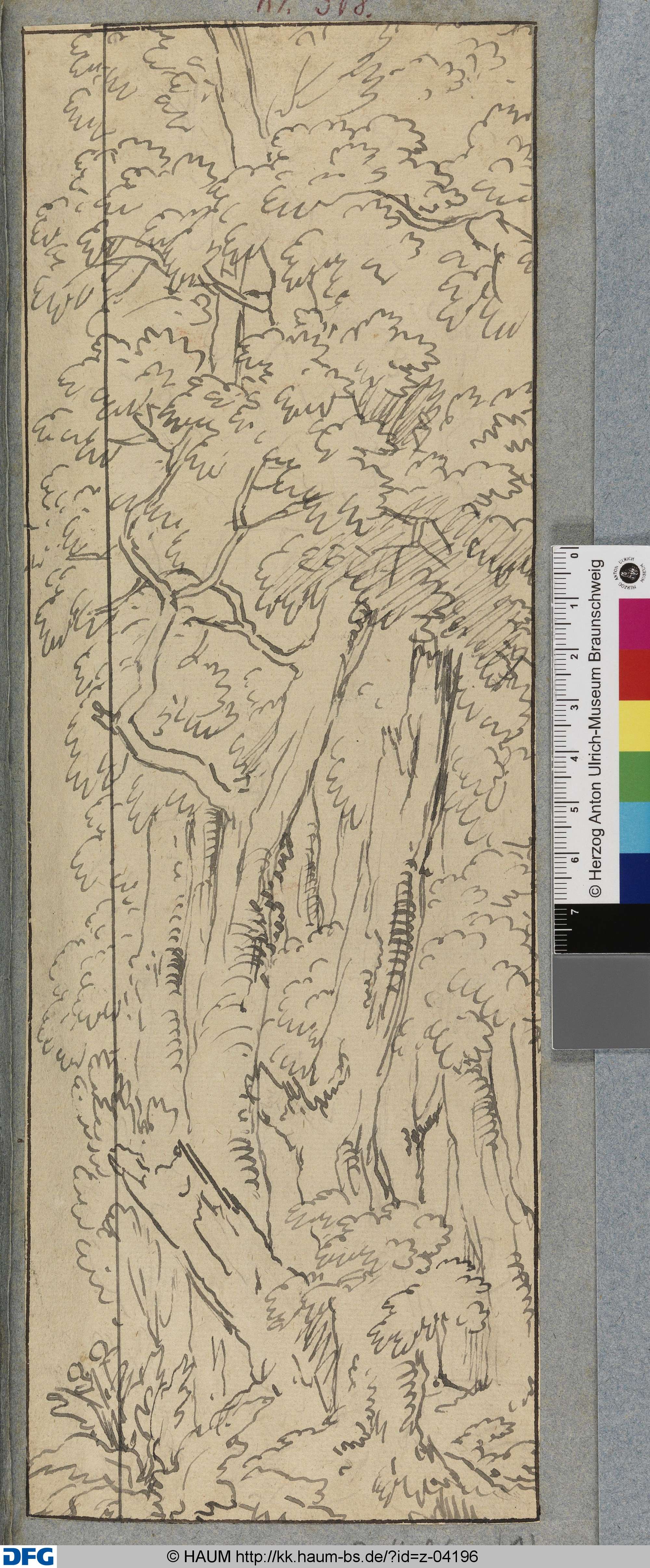 Dichter Wald. Eine Rechtskulisse, Johann Oswald Harms, 1686–1708