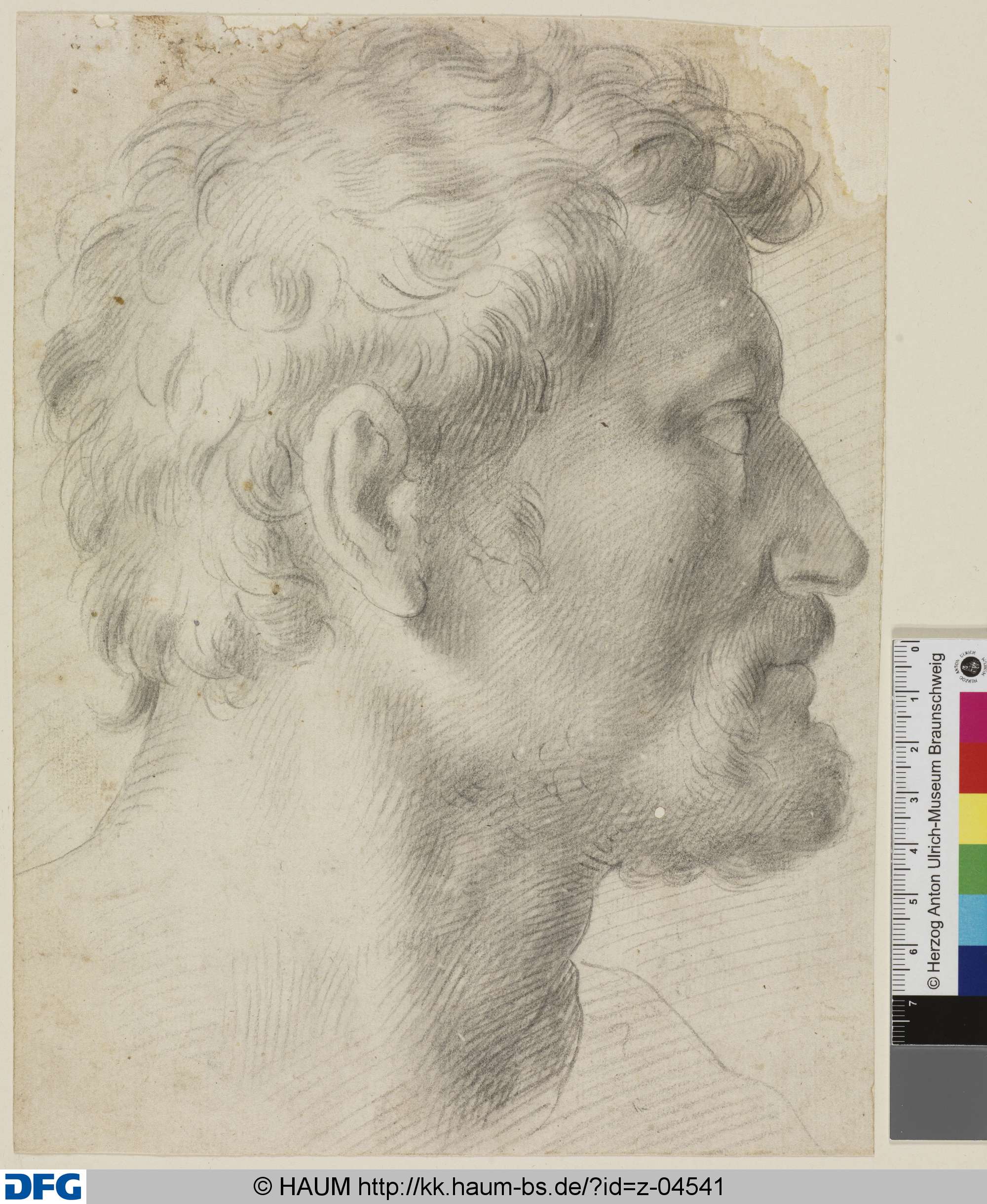 Kopf eines bärtigen Mannes im Profil nach rechts, 17th century