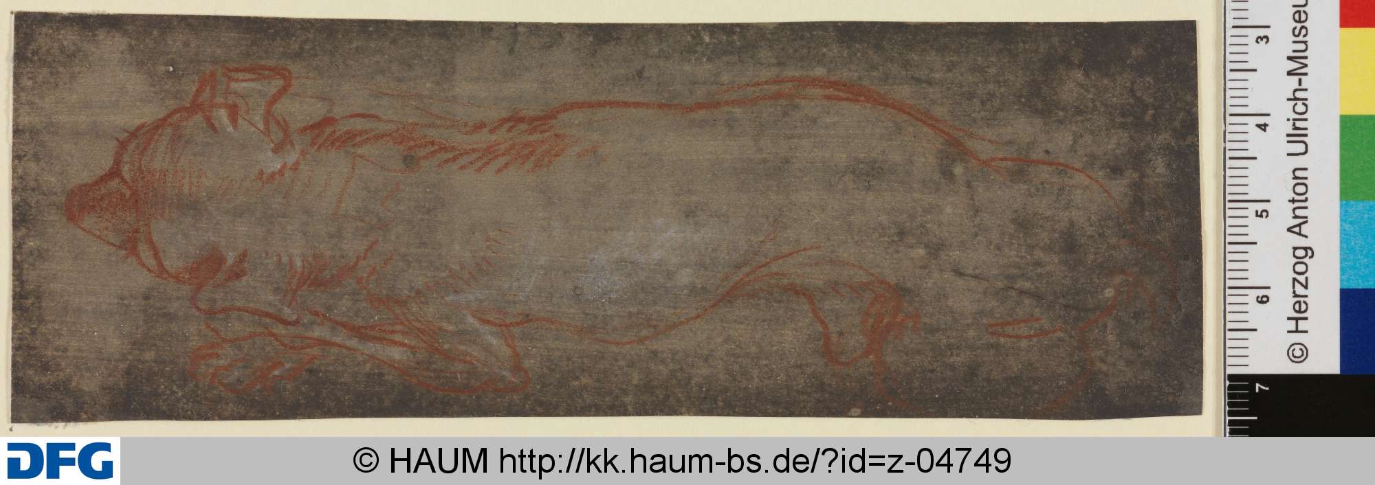 Schlafender Hund