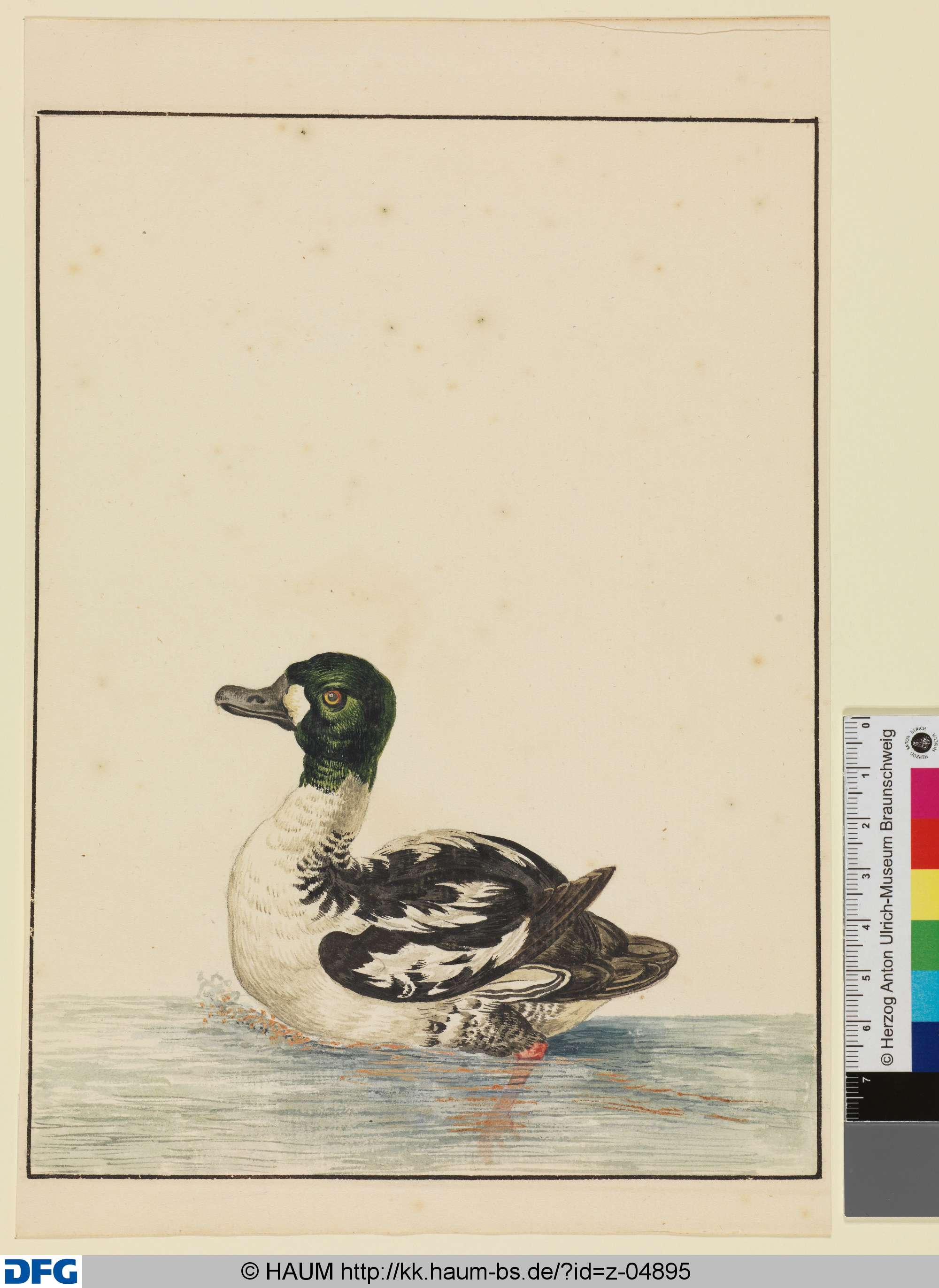 Ente