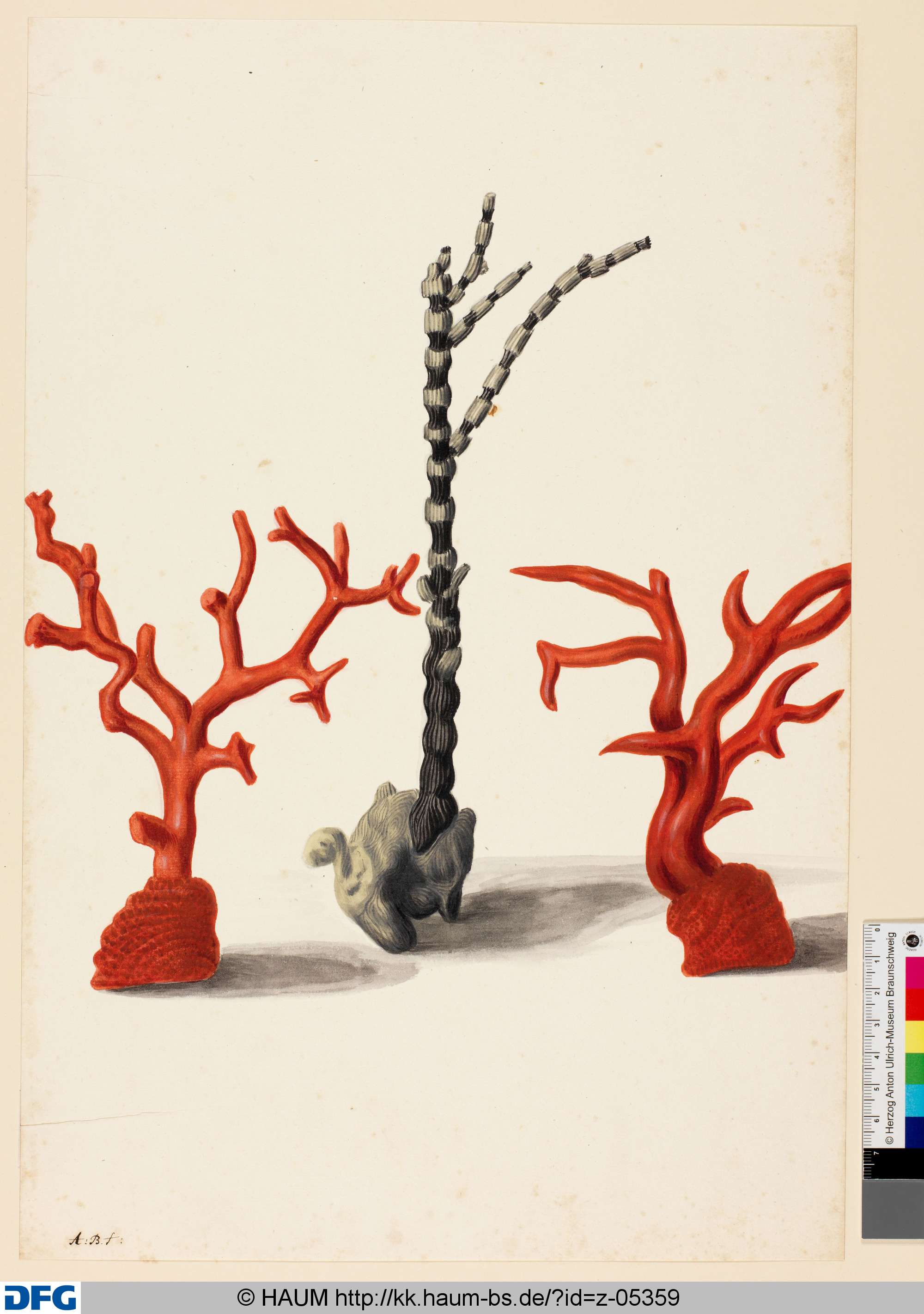 Drei Korallenbäume, Monogrammist A.B., 1651–1700