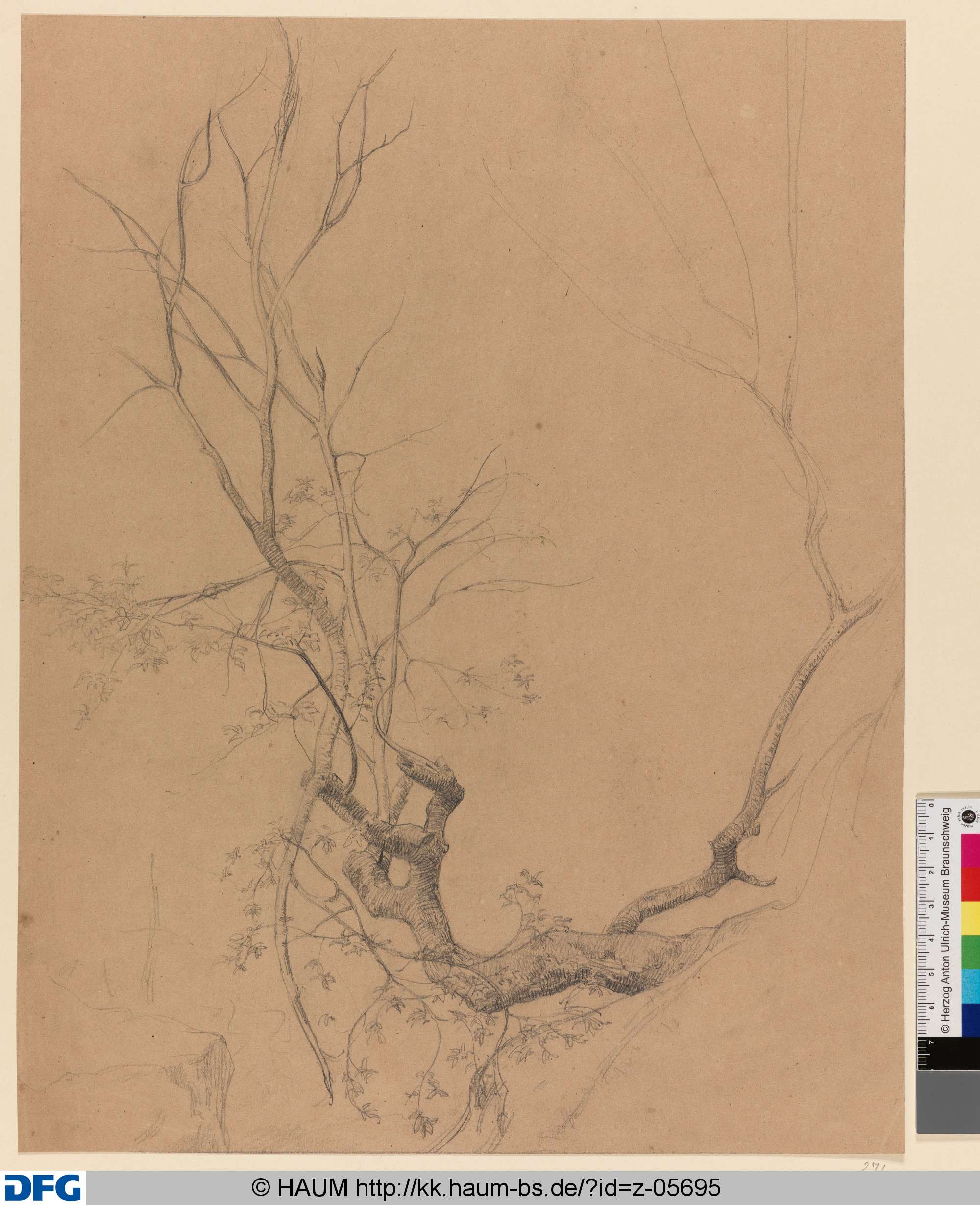 Baumstudie, Rudolph Friedrich August Henneberg, 1850–1875