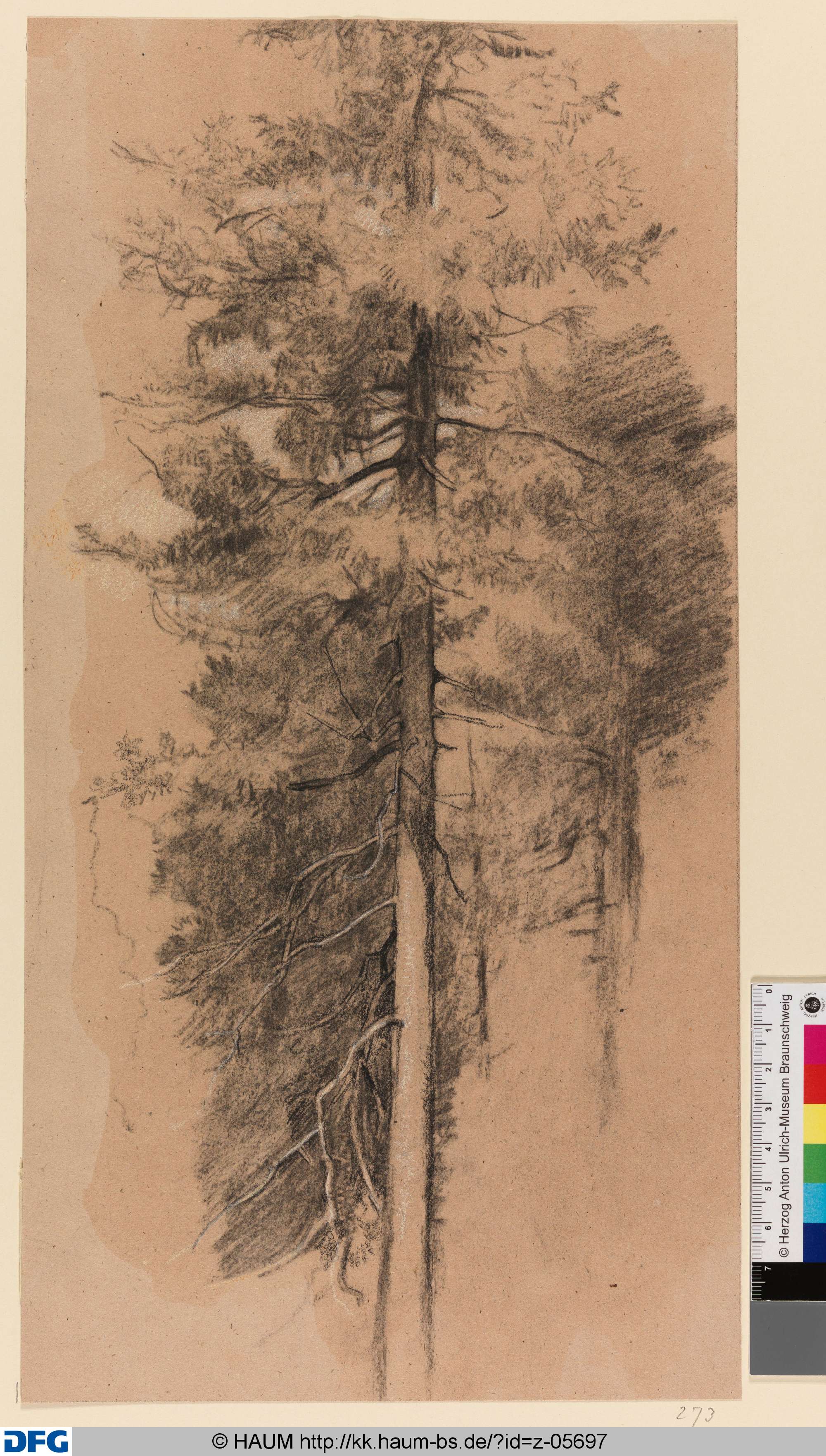 Baumstudie, Rudolph Friedrich August Henneberg, 1850–1875