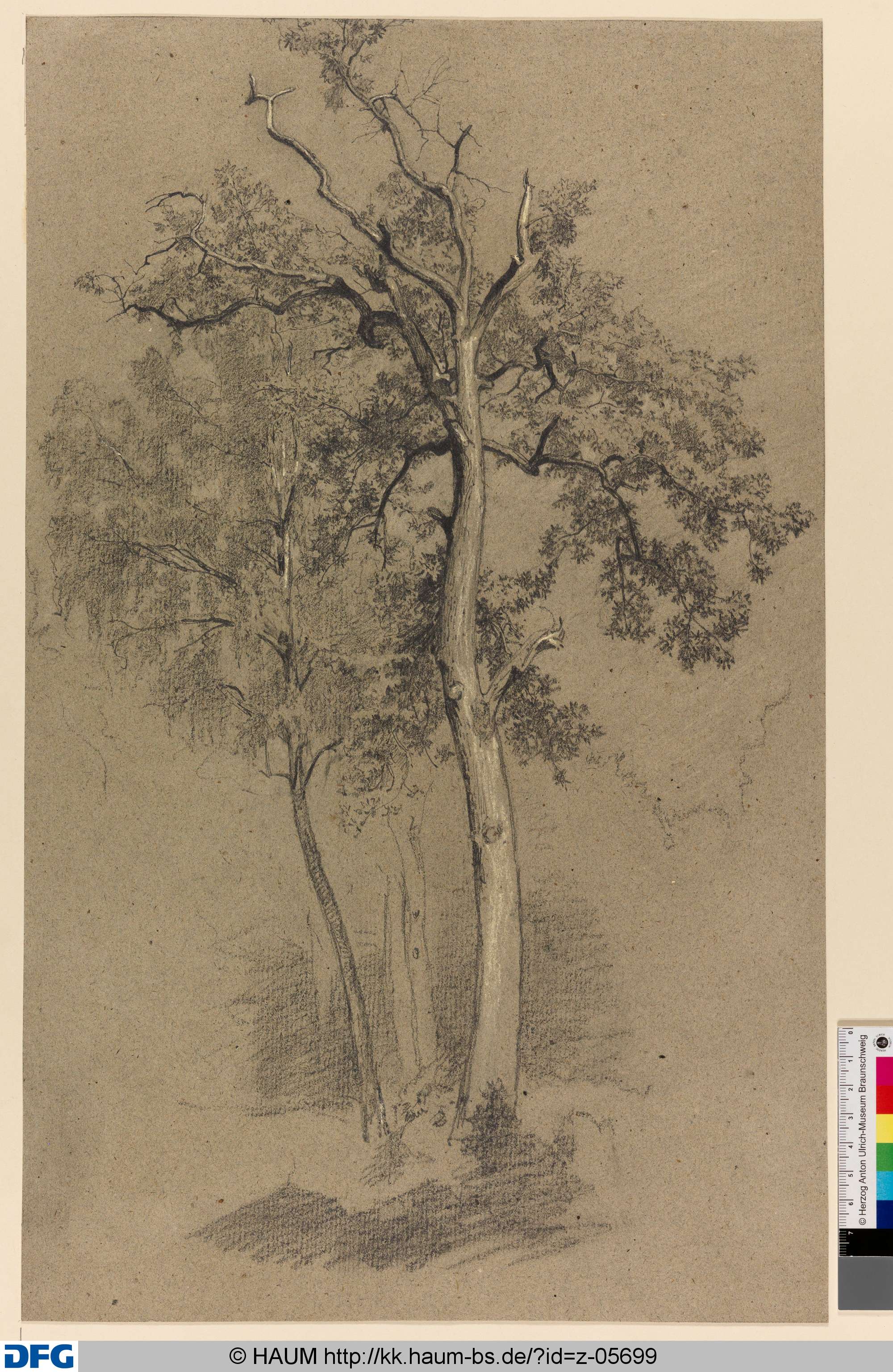 Baumgruppe, Rudolph Friedrich August Henneberg, 1850–1875
