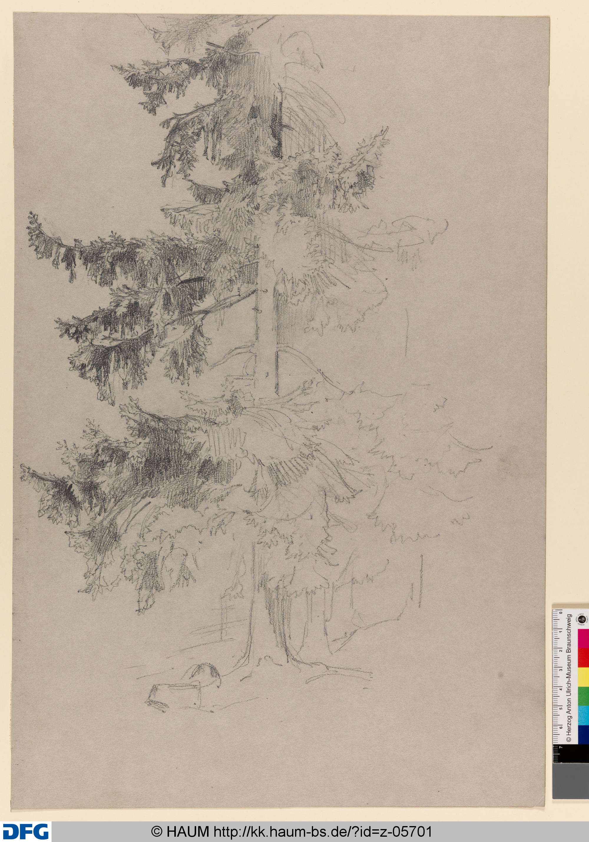 Baumstudie, Rudolph Friedrich August Henneberg, 1850–1875