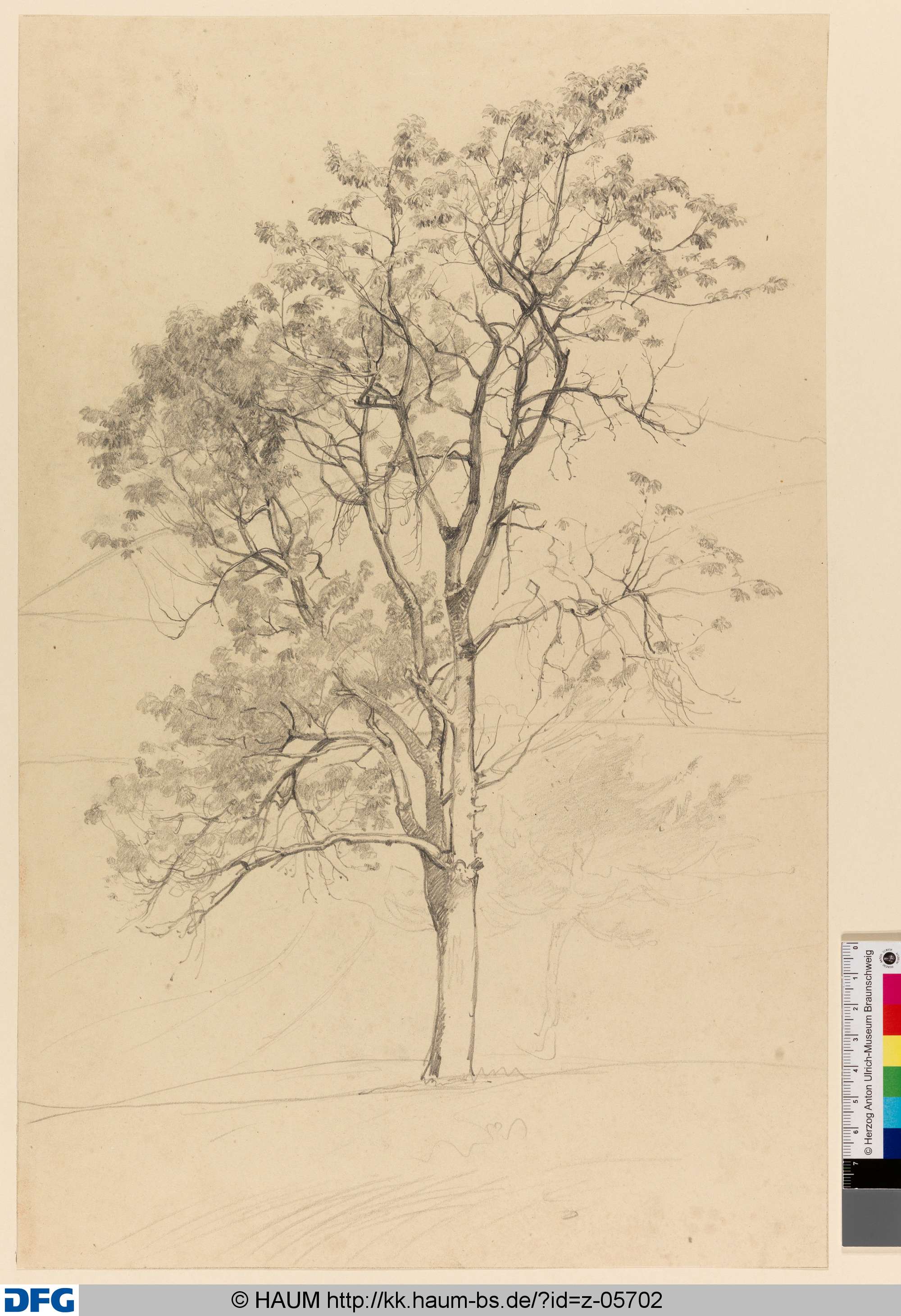 Baumstudie, Rudolph Friedrich August Henneberg, 1850–1875