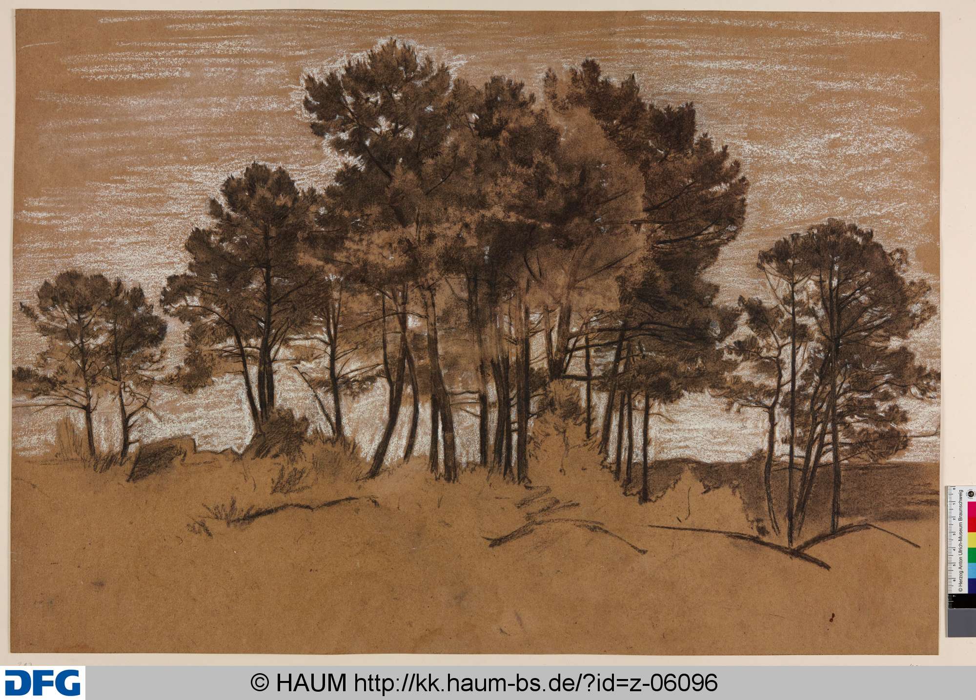 Studie einer Baumgruppe, Rudolph Friedrich August Henneberg, 1853–1860