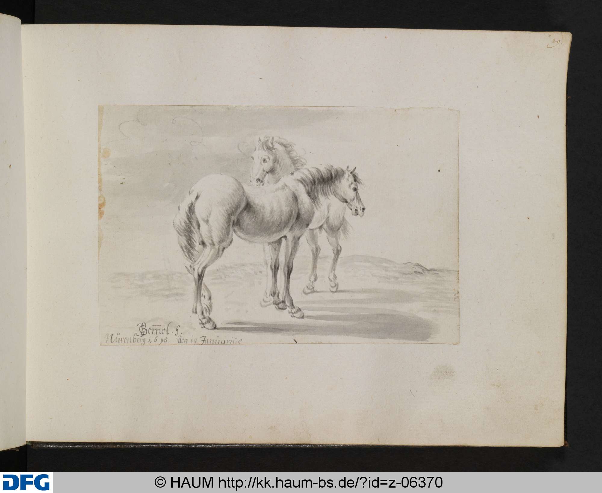 [Zwei Pferde auf einer Weide stehend], 1698
