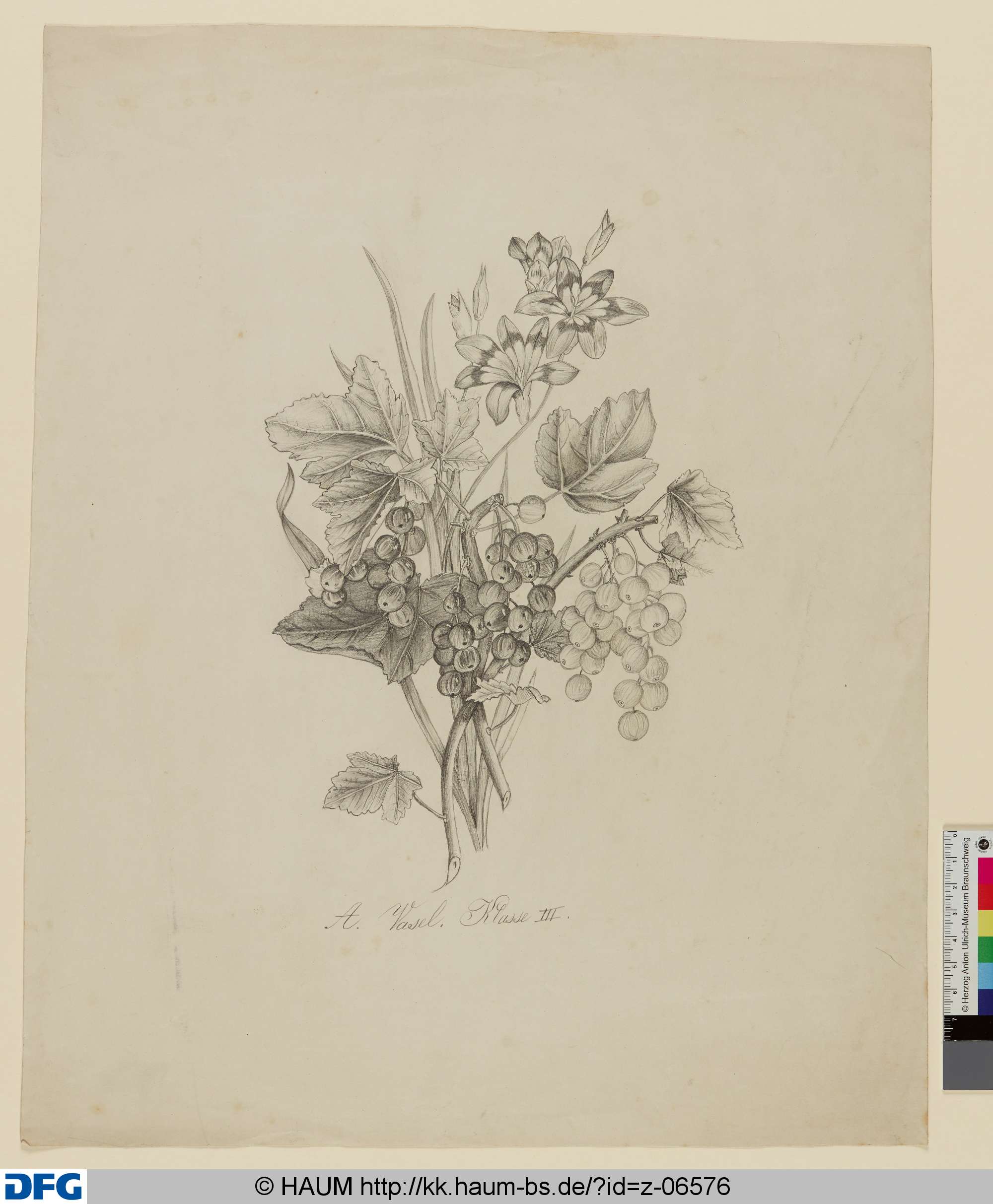 ohne Titel, August Vasel, 1858–1863