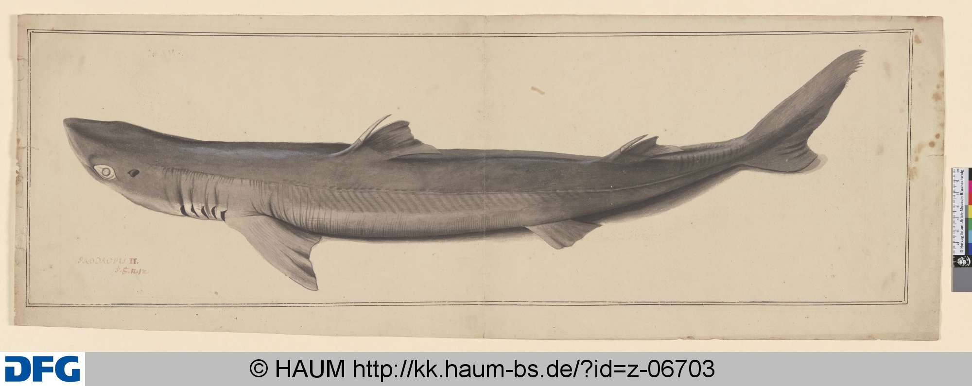 [Hai?], 18th century
