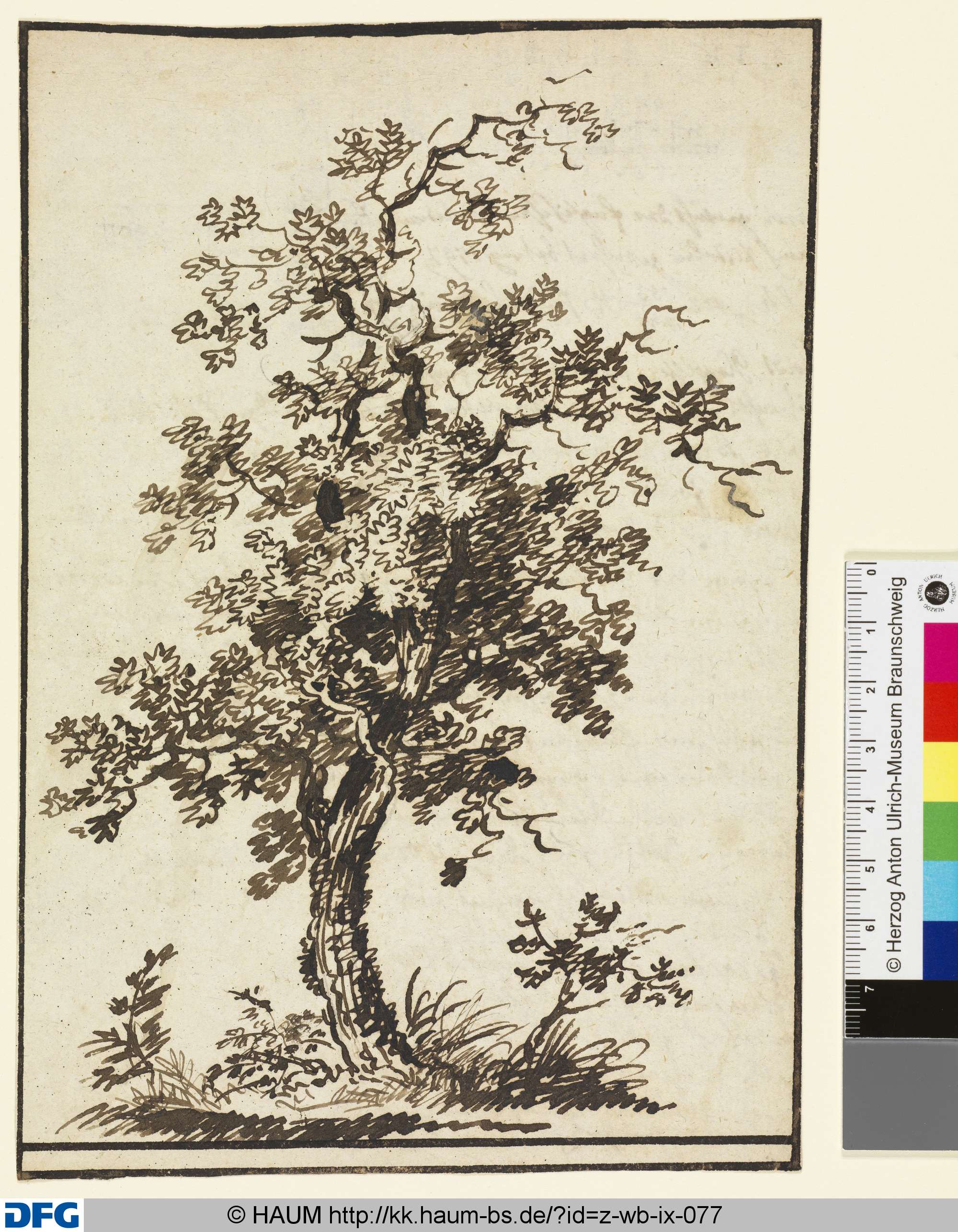 Baumstudie, 1800–1810