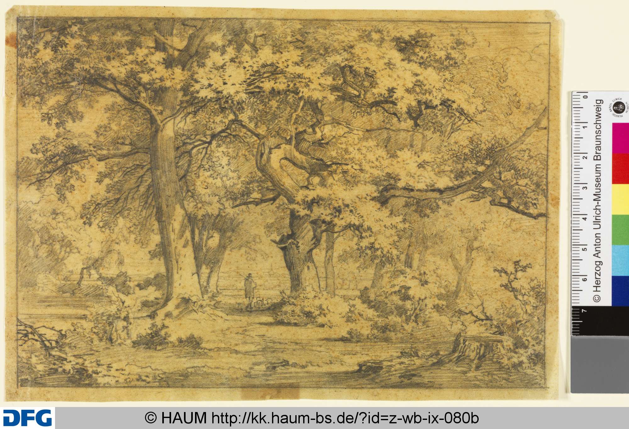 Waldlandschaft